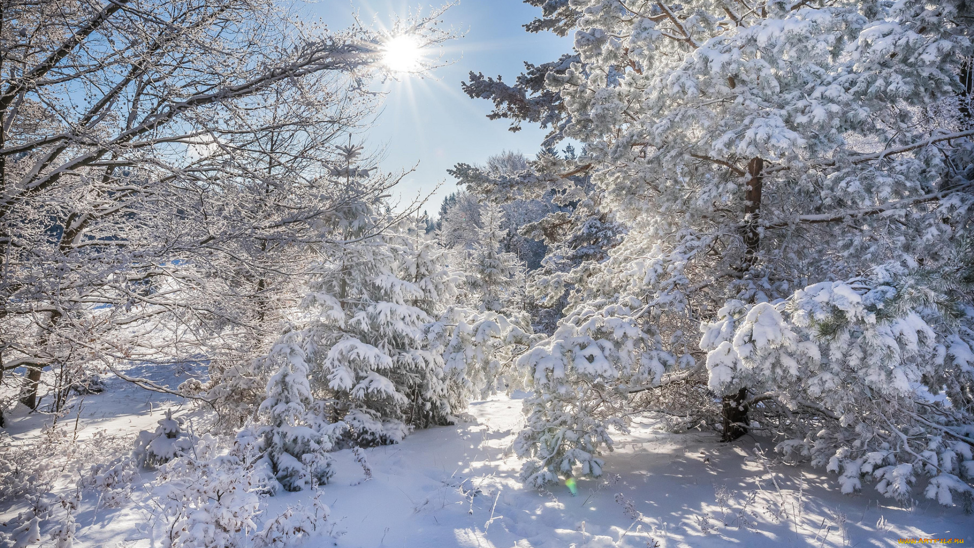 природа, зима, простор