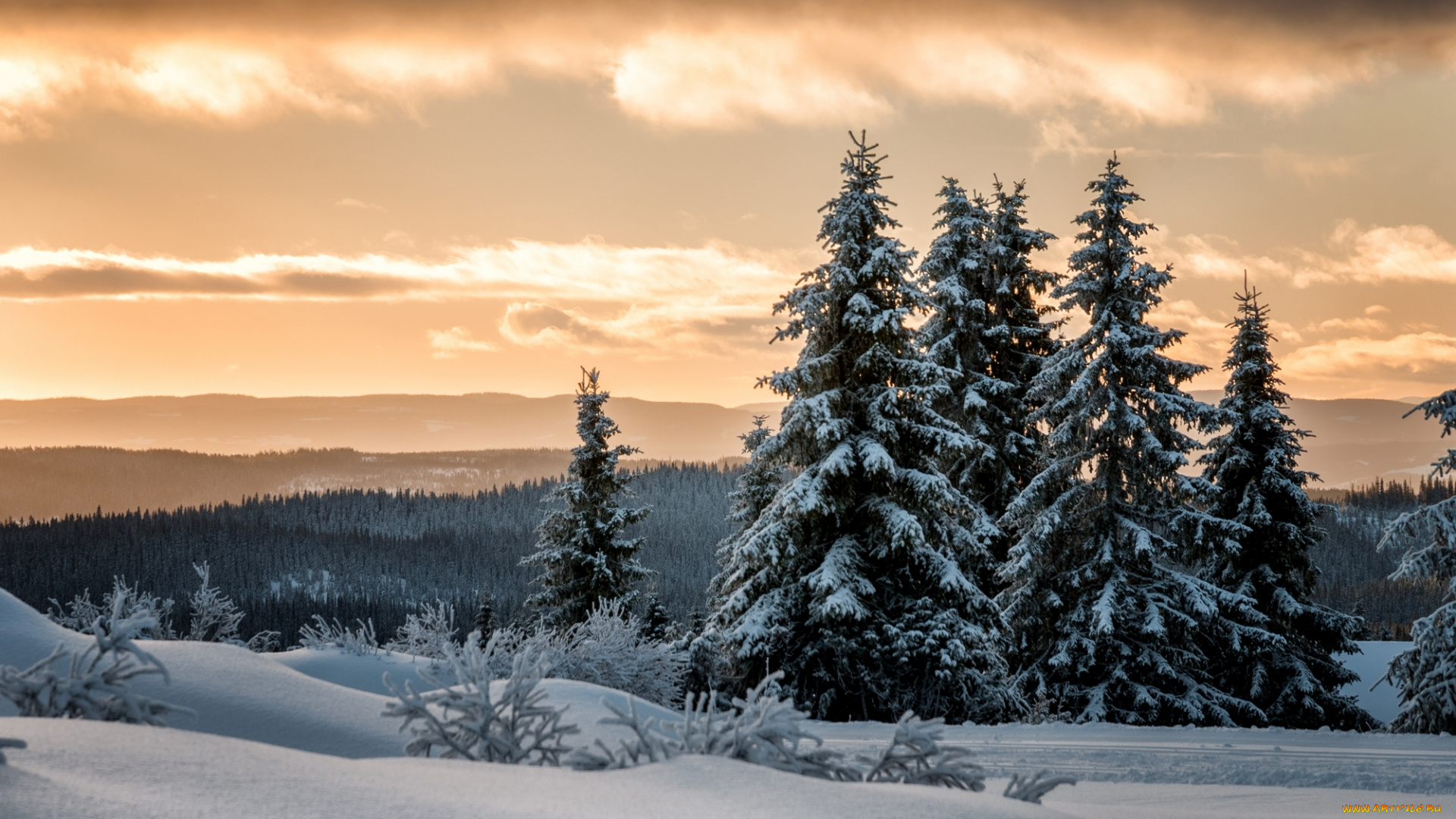 природа, зима, простор