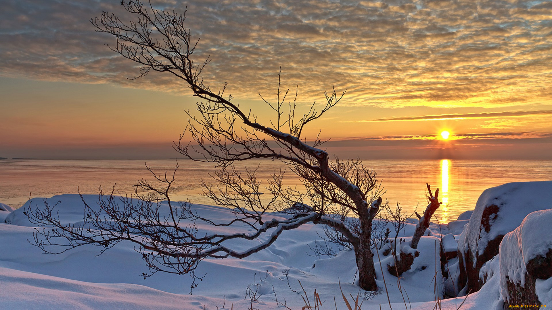 природа, зима, простор