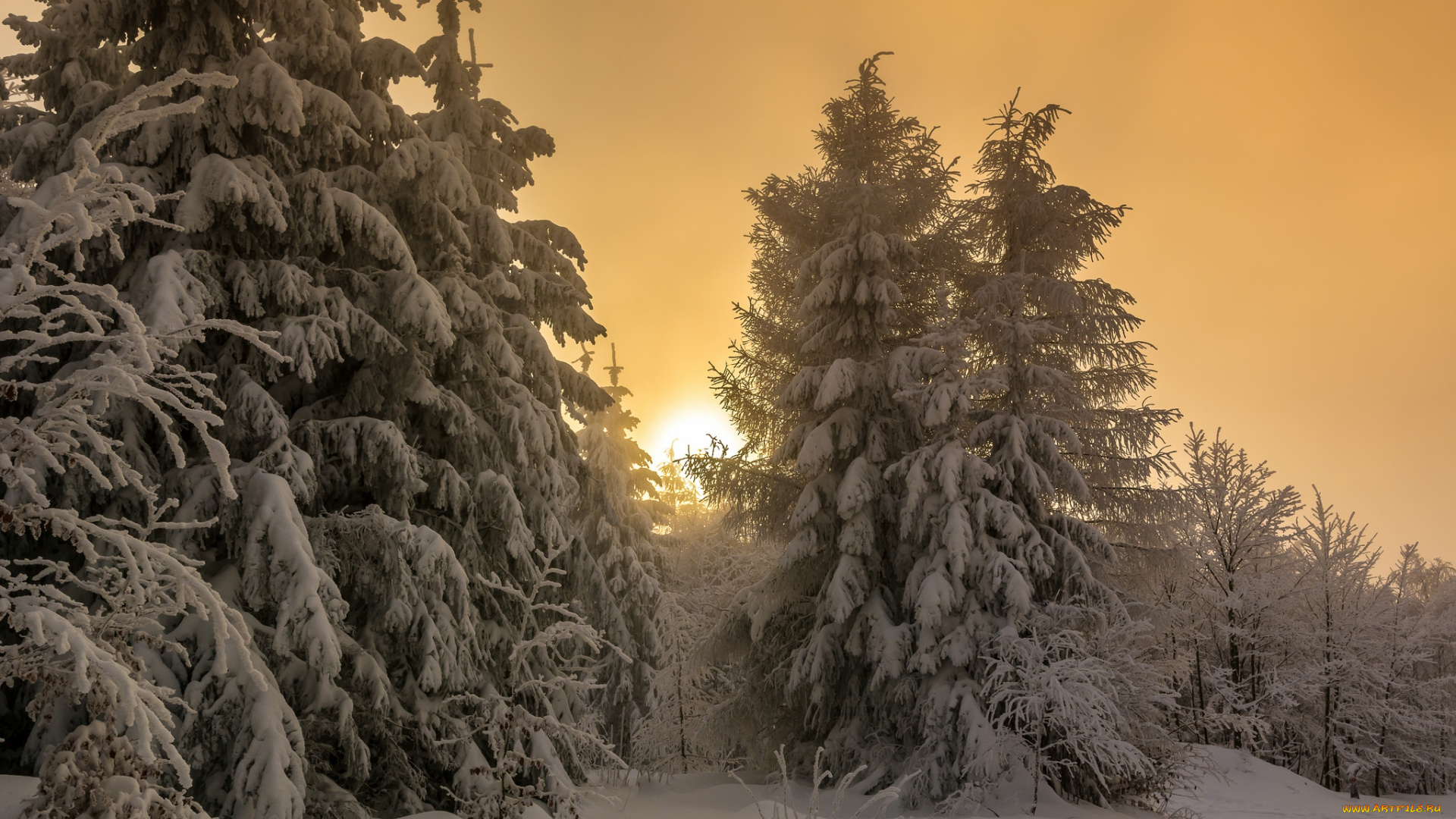 природа, зима, простор