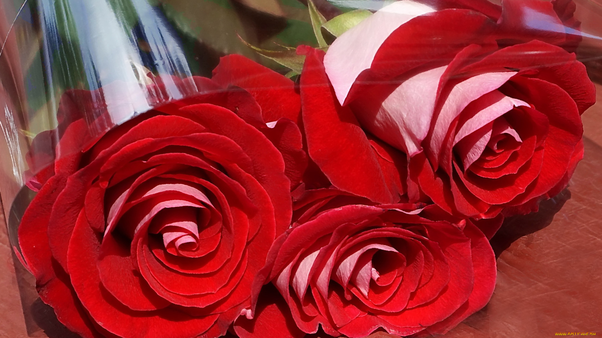 разное, компьютерный, дизайн, поздравление, розы, цветы