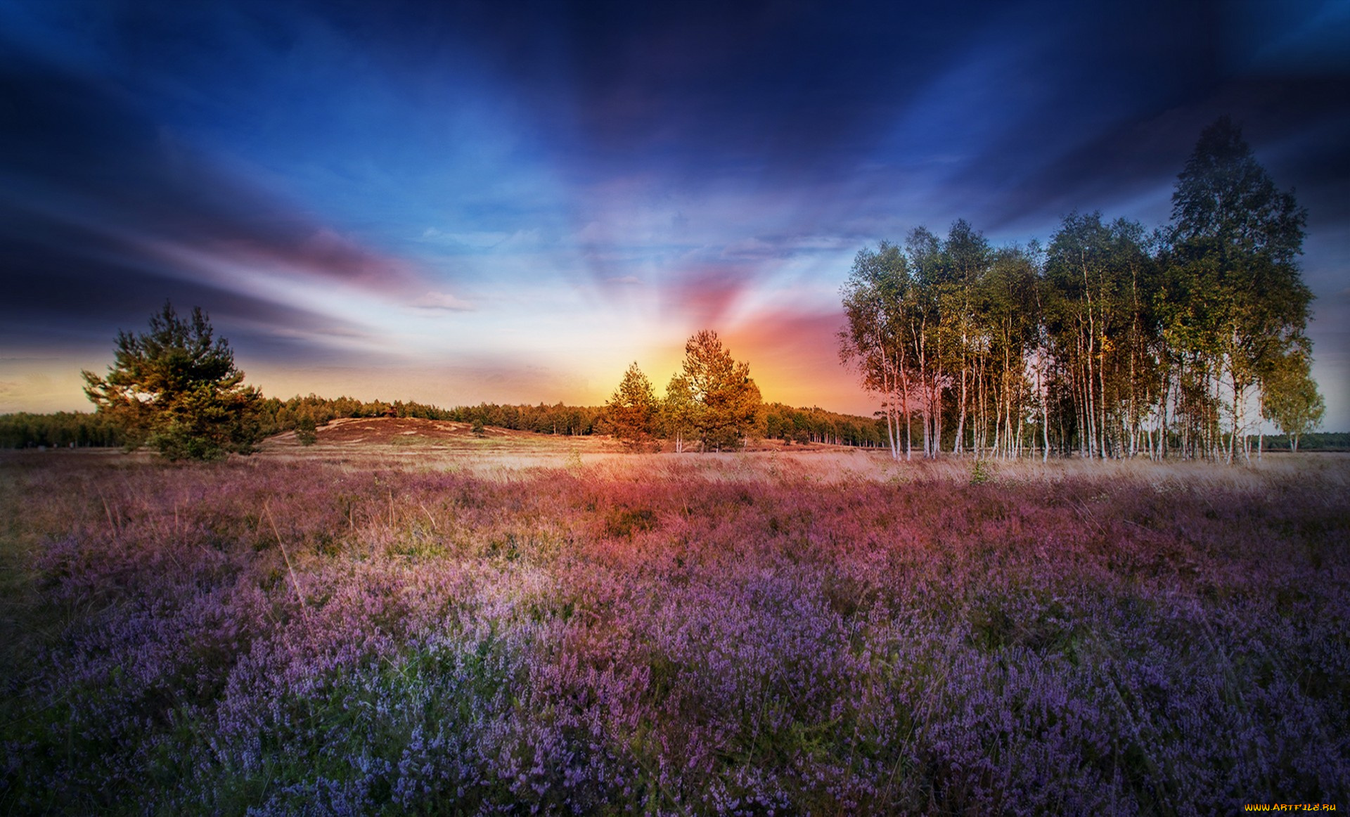 природа, восходы, закаты, простор