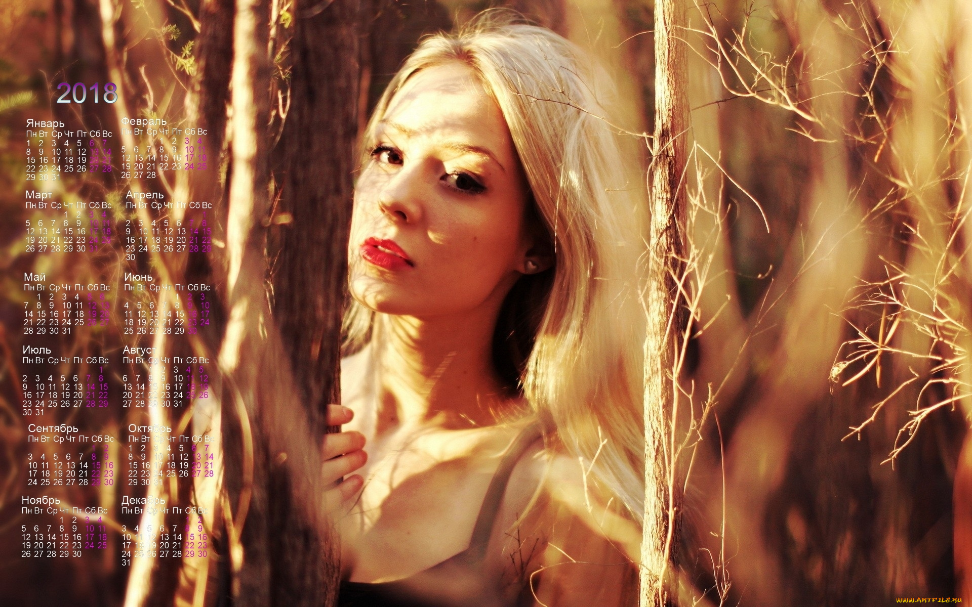 календари, девушки, деревья, взгляд