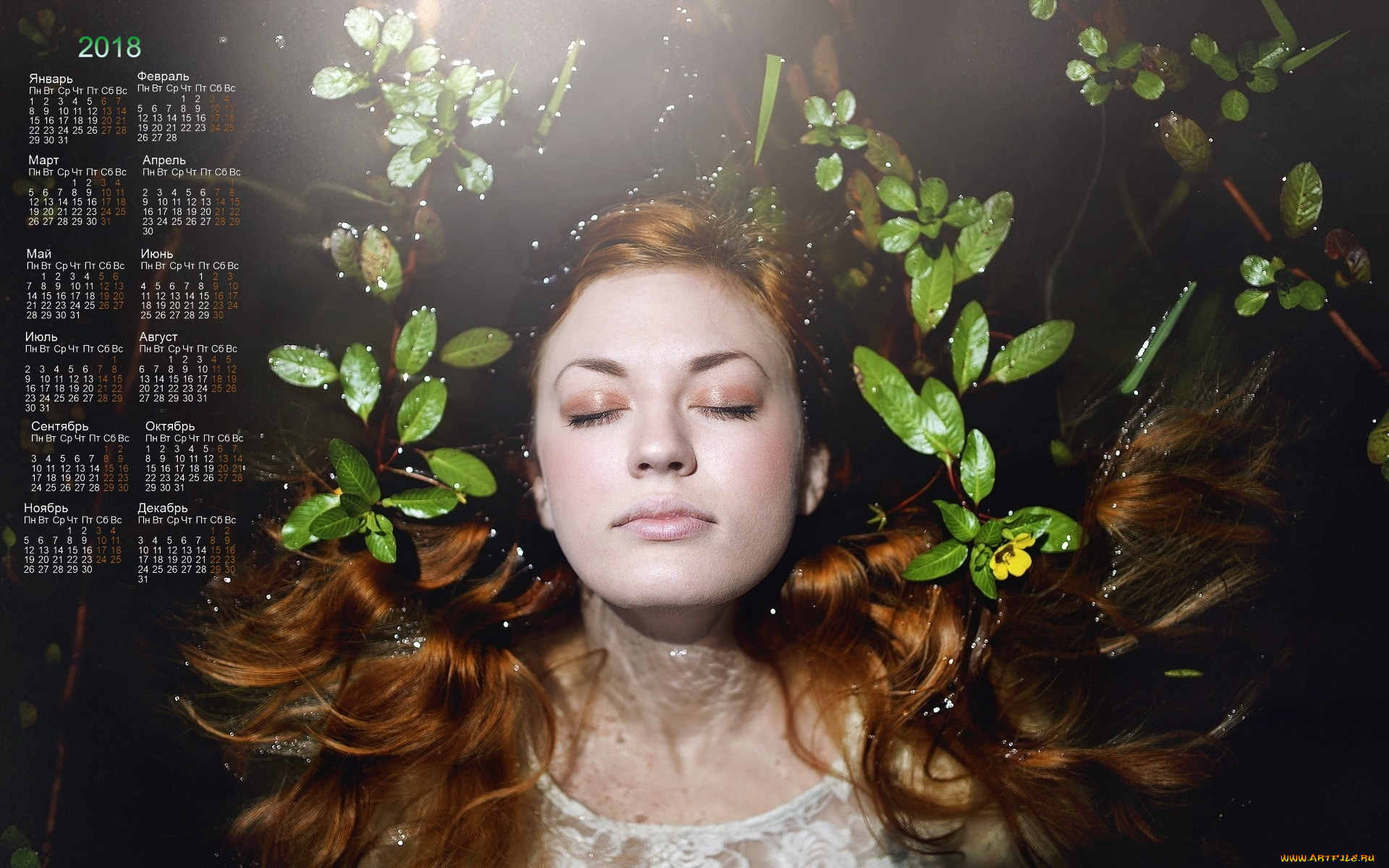 календари, девушки, лицо, вода, растения