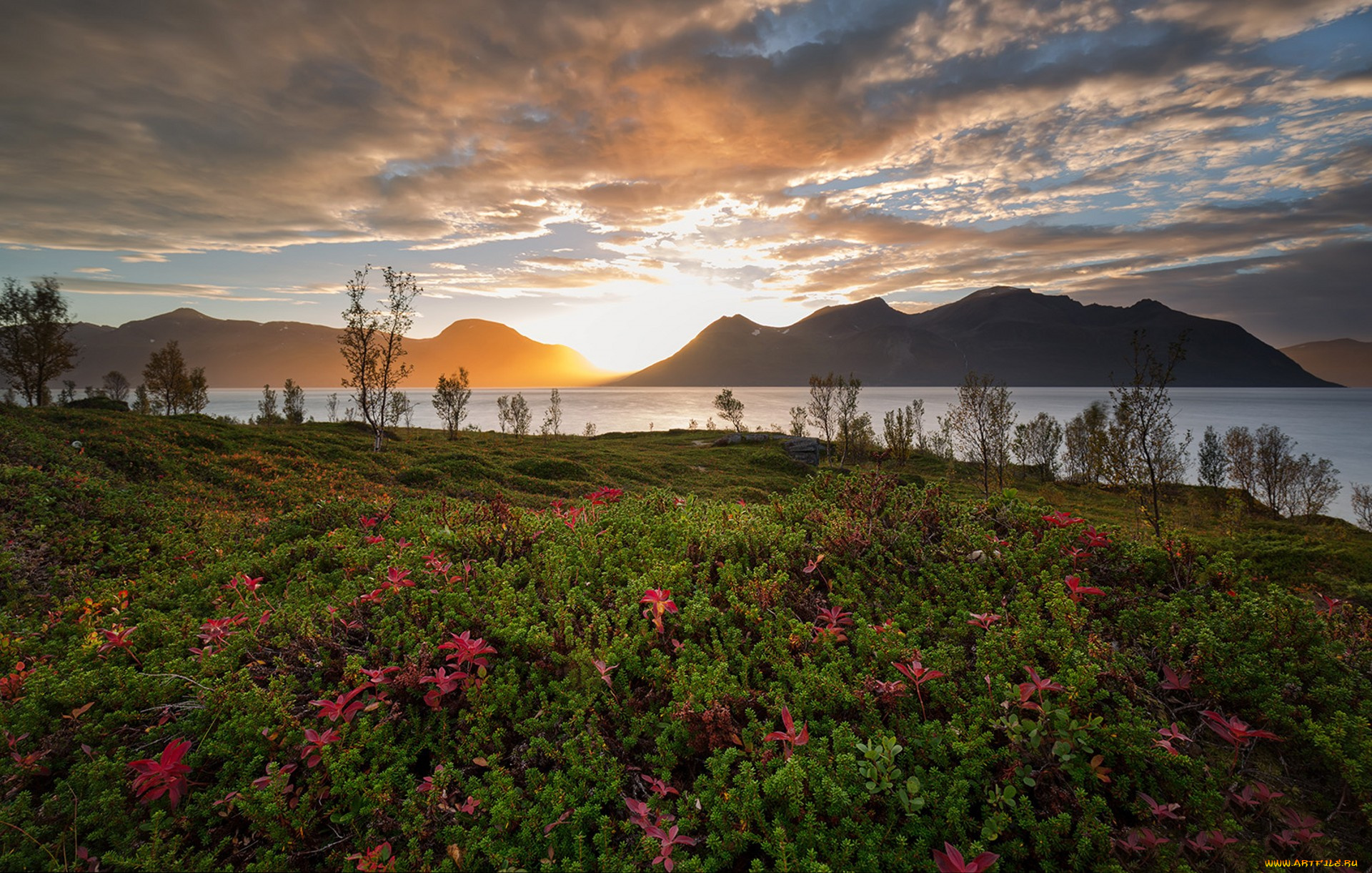 природа, луга, простор