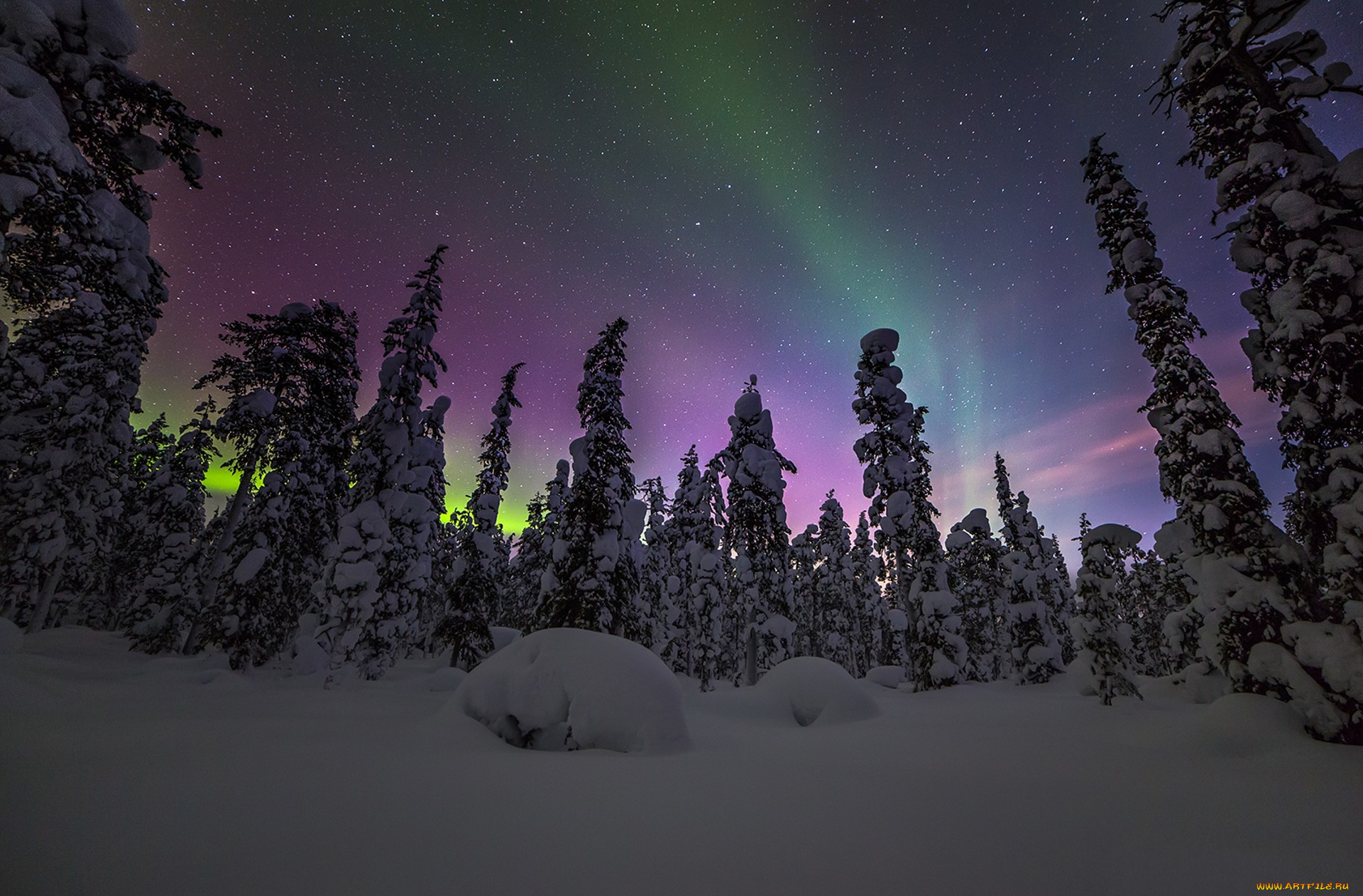 природа, северное, сияние, простор