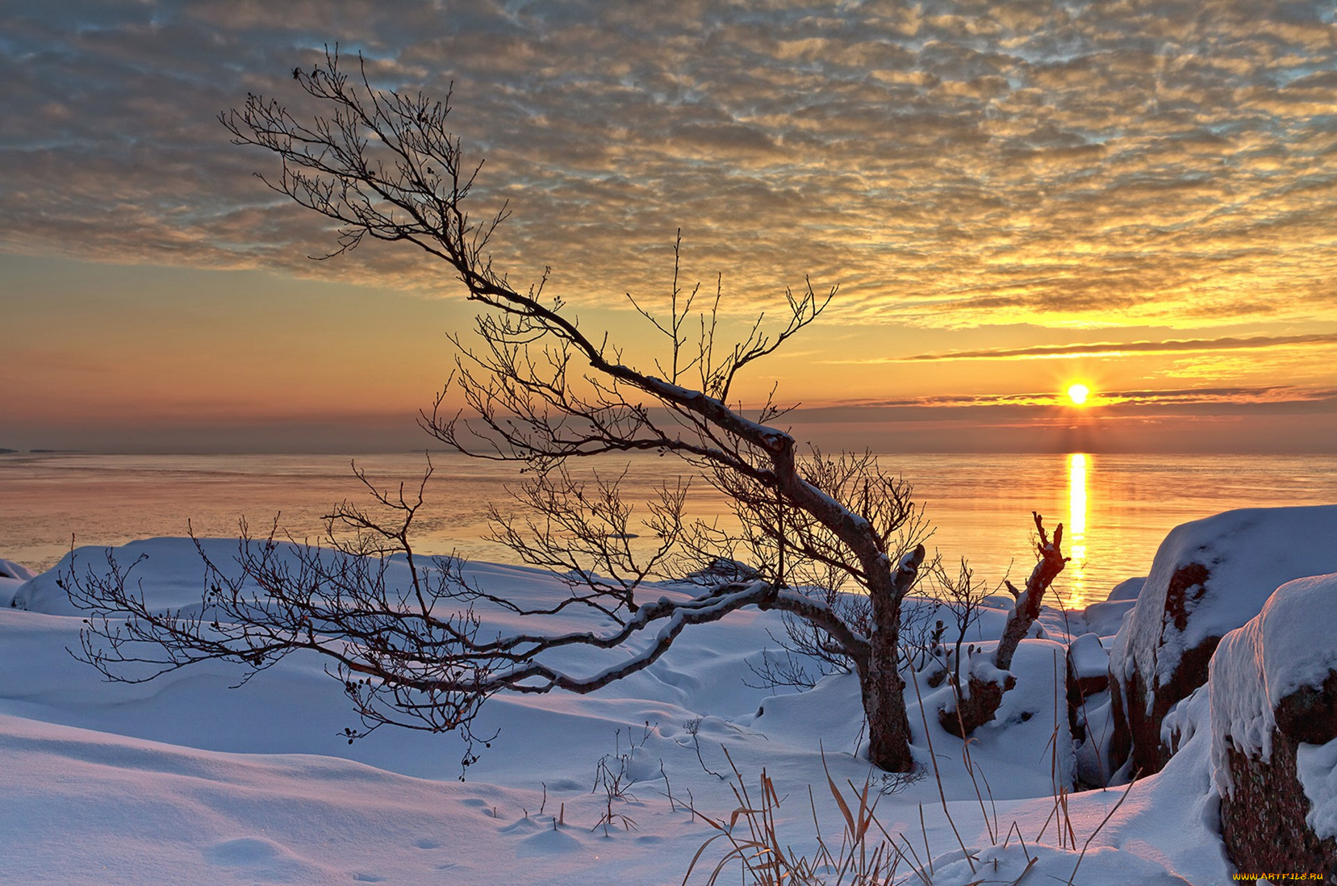 природа, зима, простор