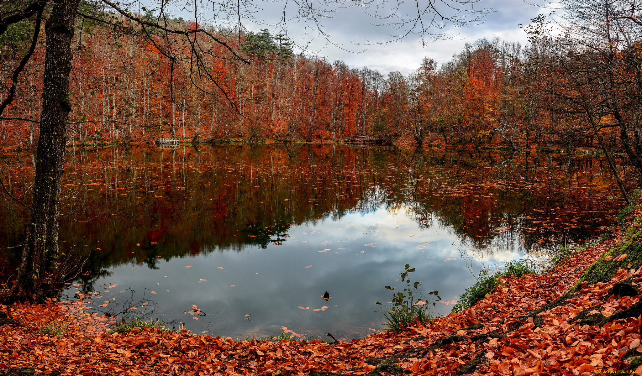 природа, реки, озера, простор