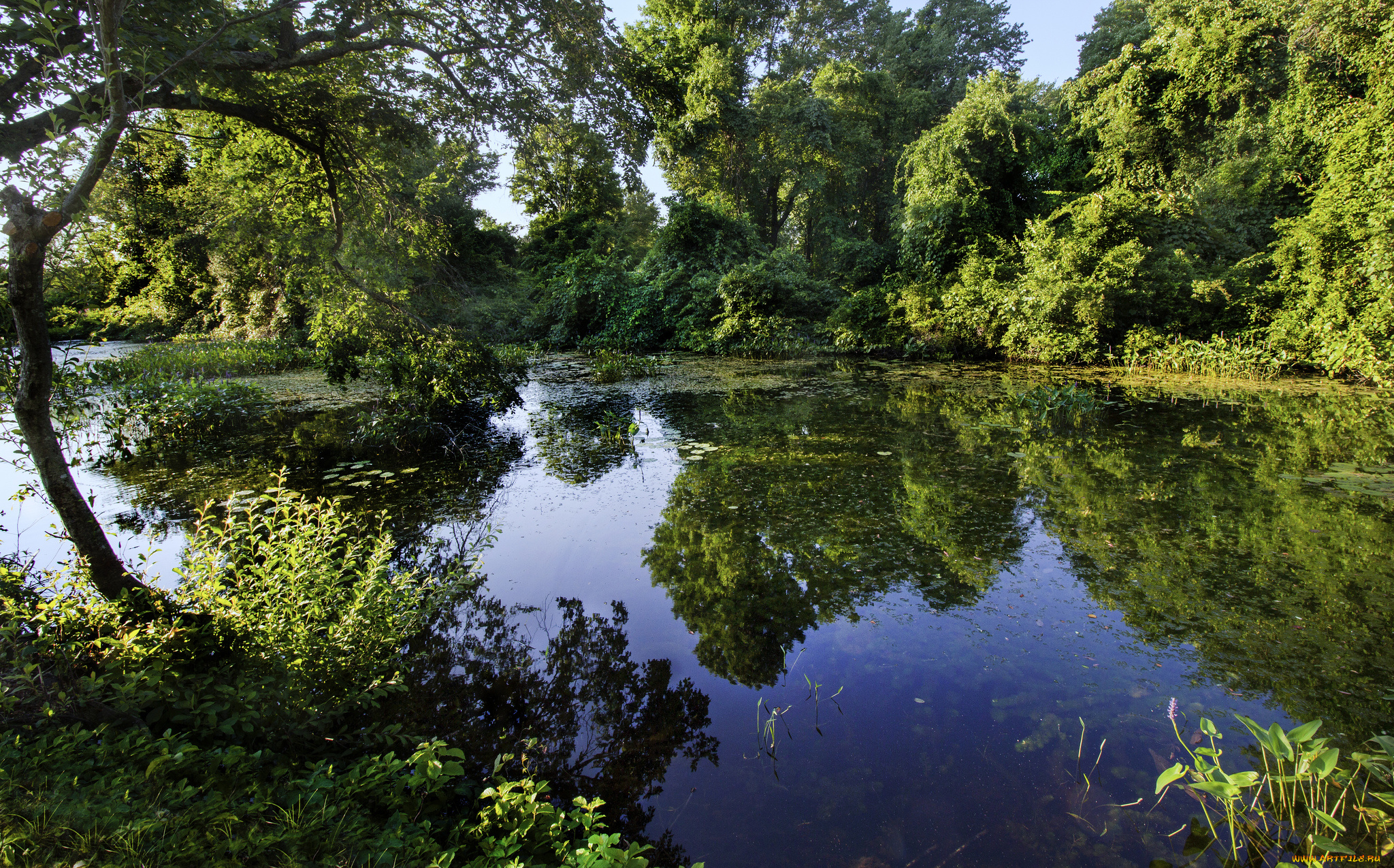 природа, реки, озера, простор