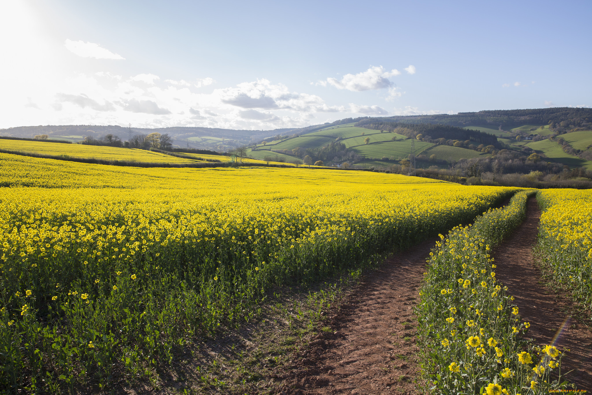 природа, дороги, простор