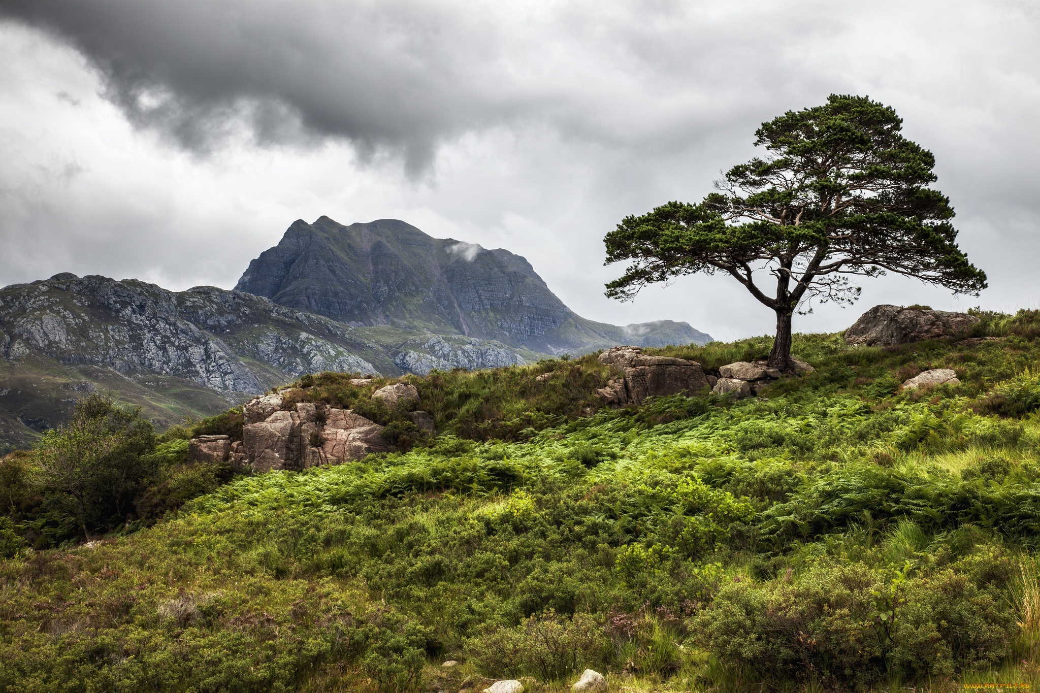 природа, пейзажи, простор