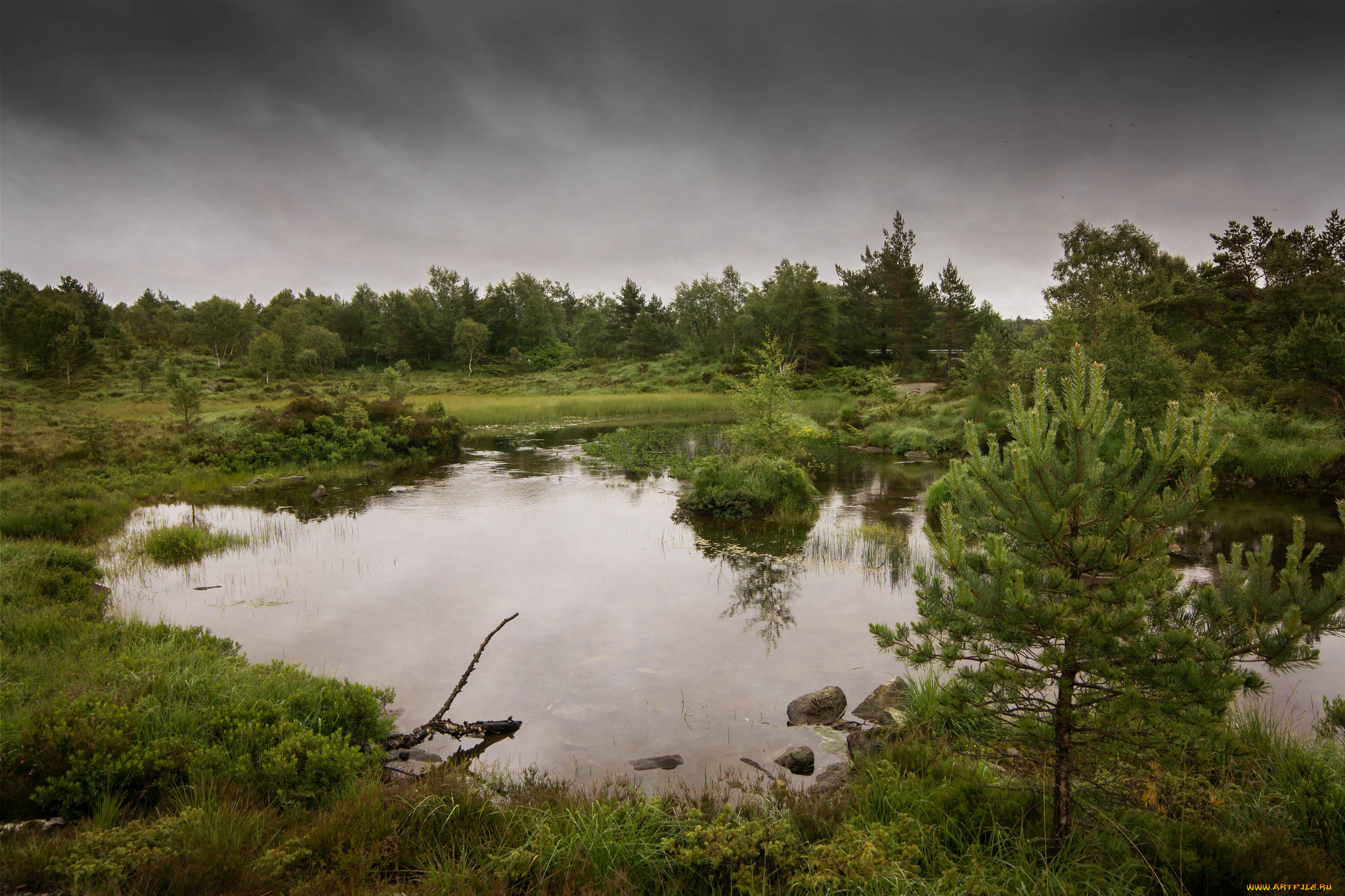 природа, реки, озера, простор