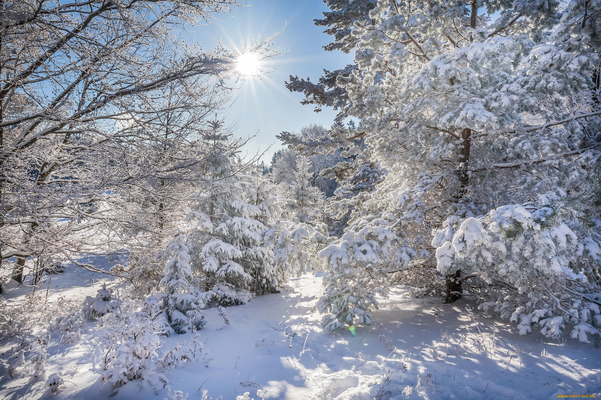 природа, зима, простор