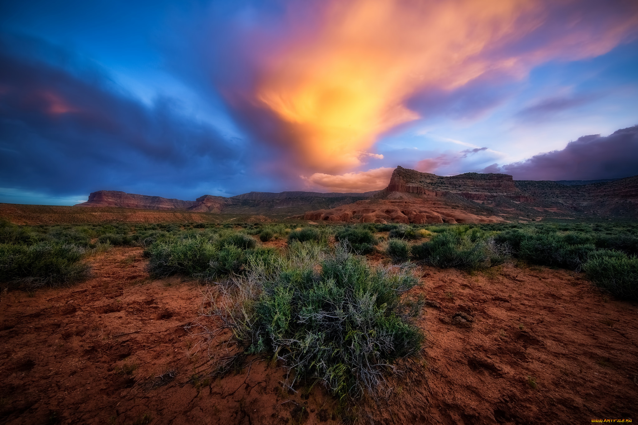 природа, пейзажи, простор