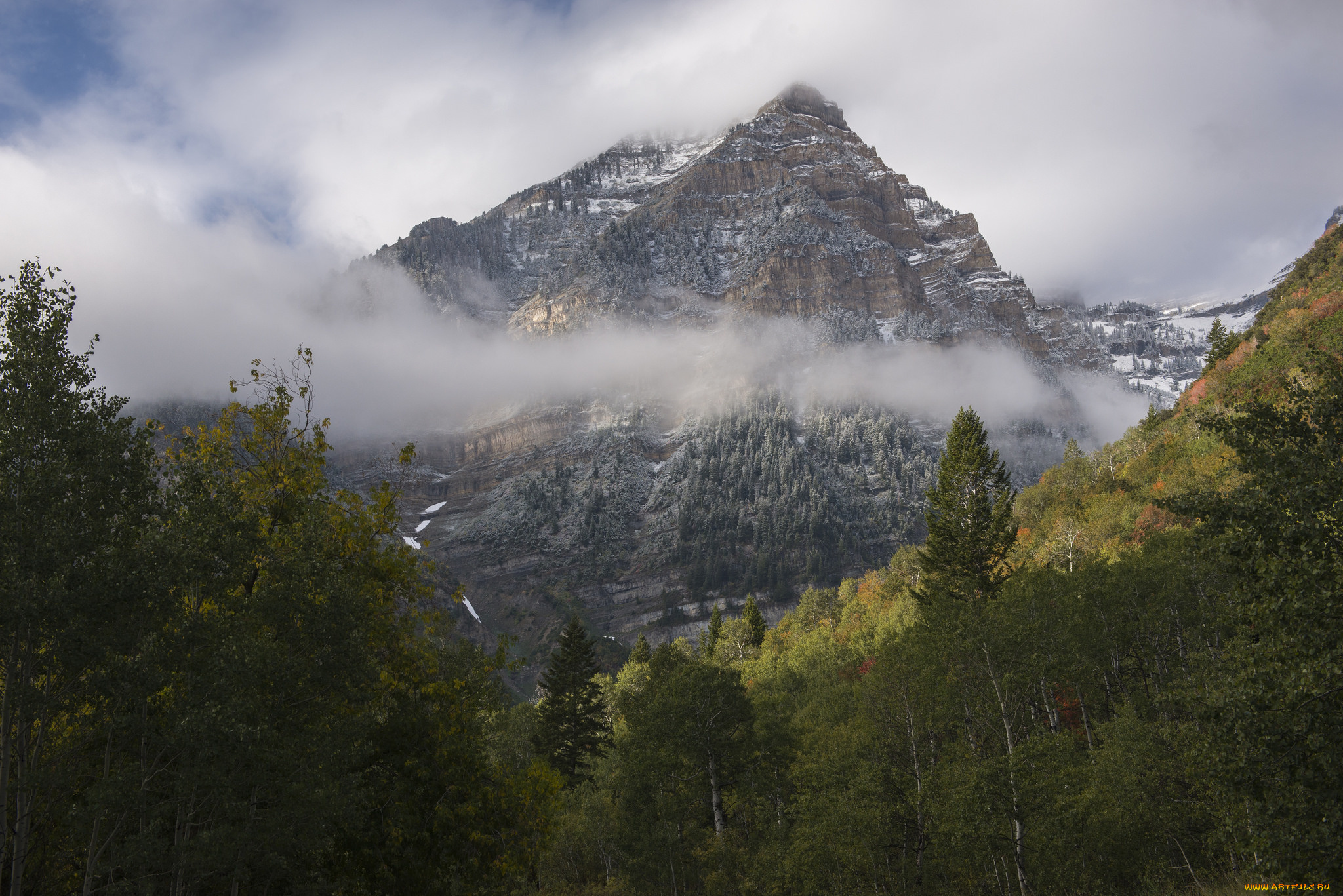 природа, горы, простор