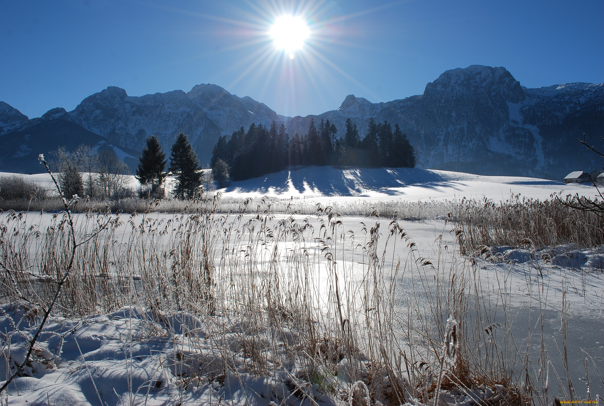 природа, реки, озера, простор