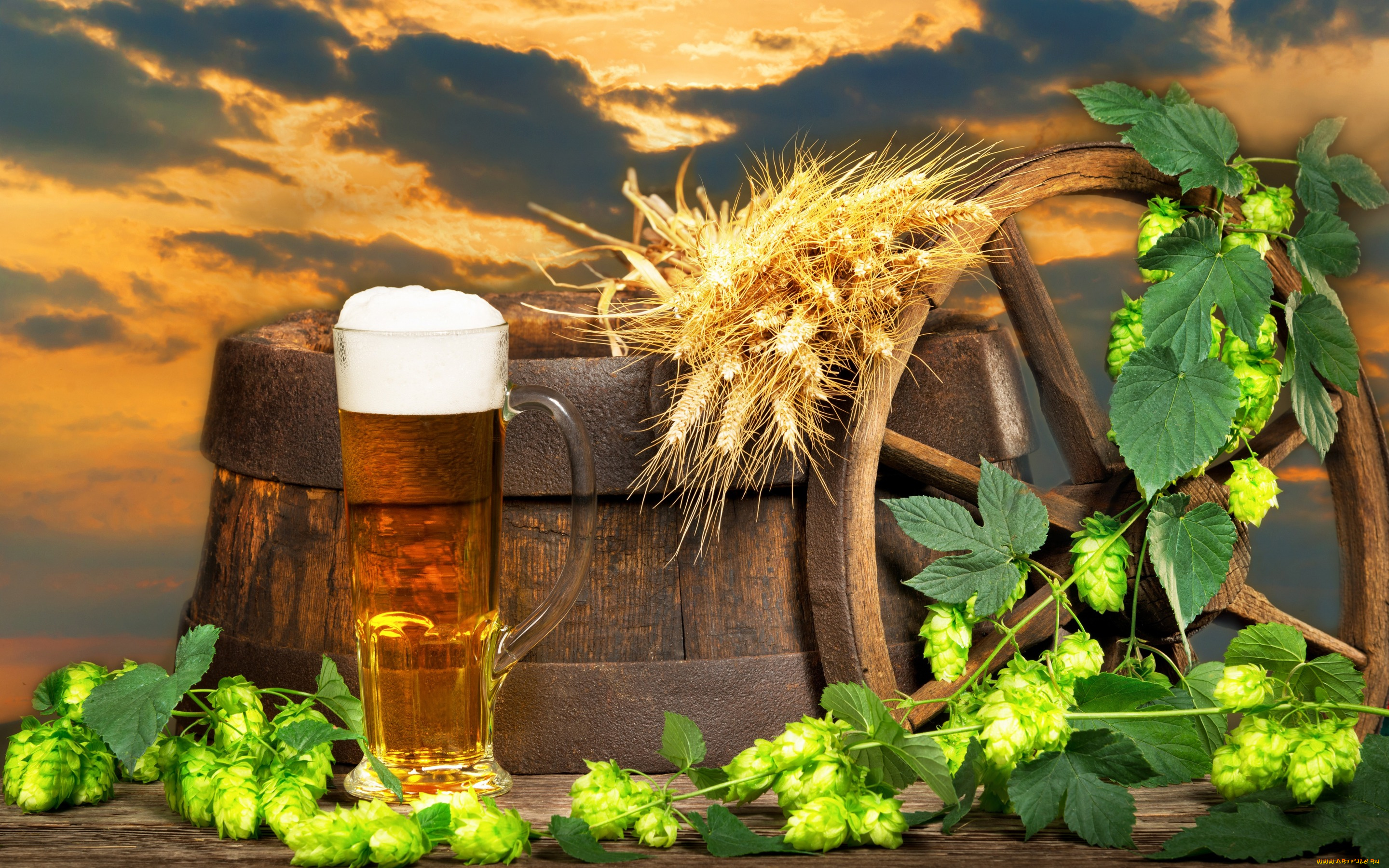 еда, напитки, , пиво, закат, пиво, колосья, небо, облака, пена, хмель, стакан, колесо, бочка, пейзаж, фон