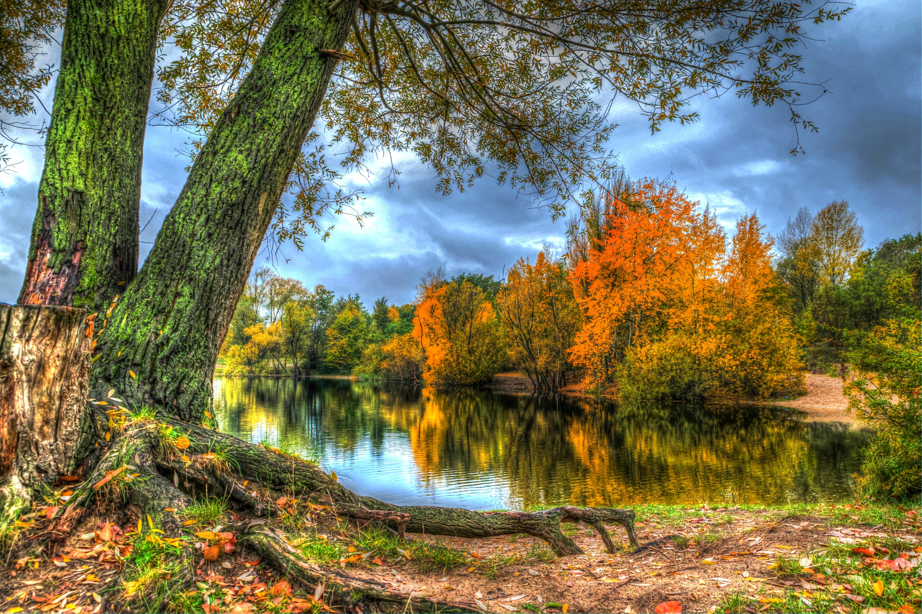 природа, реки, озера, листья, лес, деревья, берег, река, осень