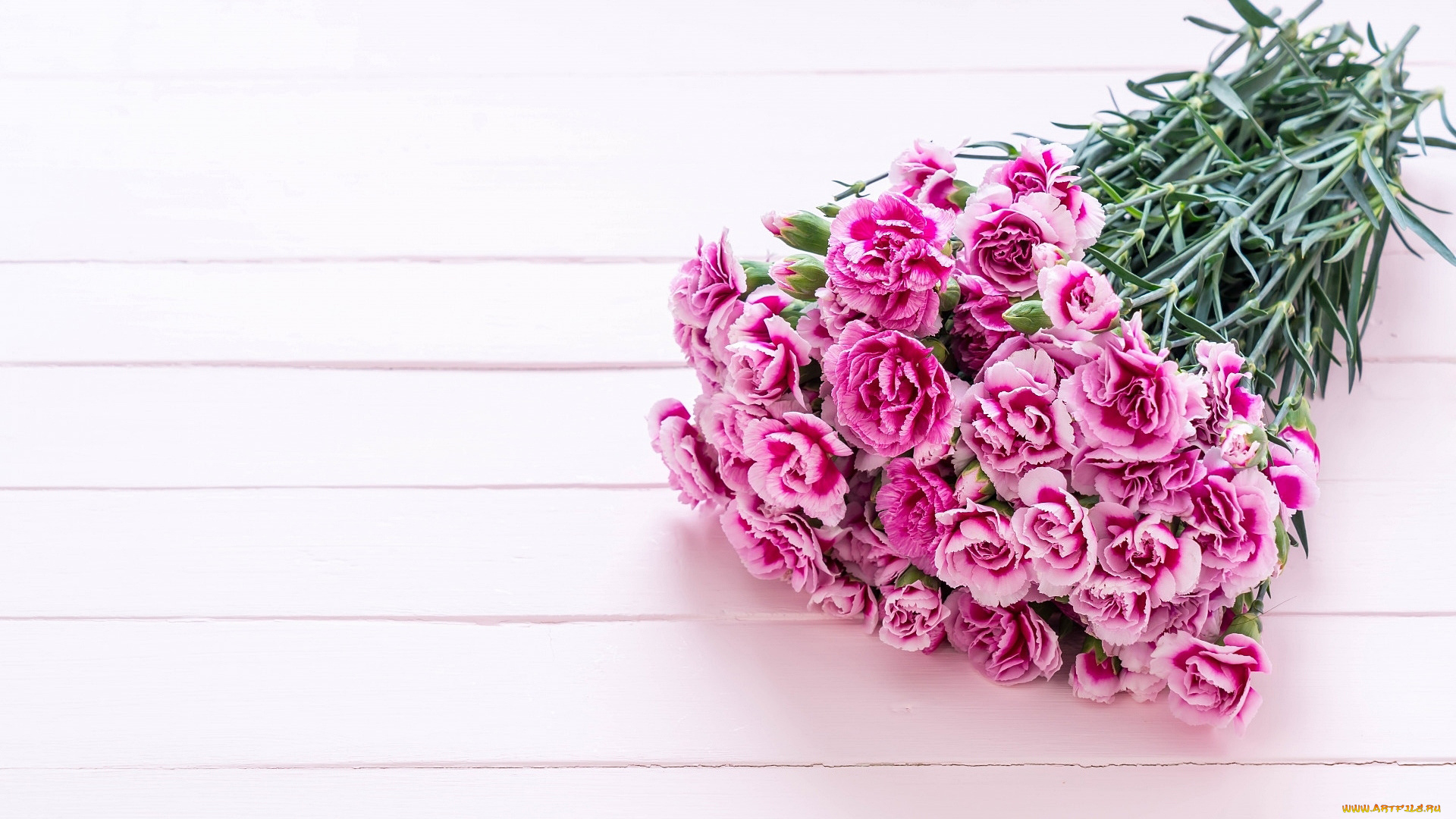 цветы, гвоздики, букет