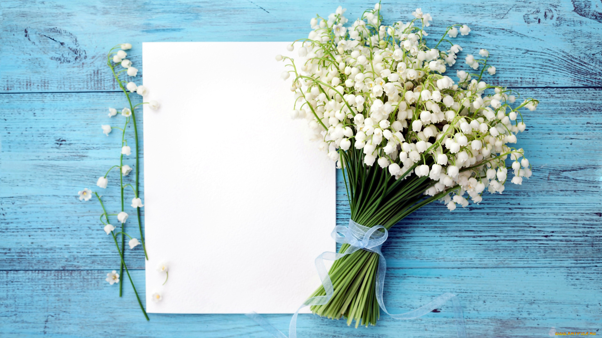 цветы, ландыши, букет