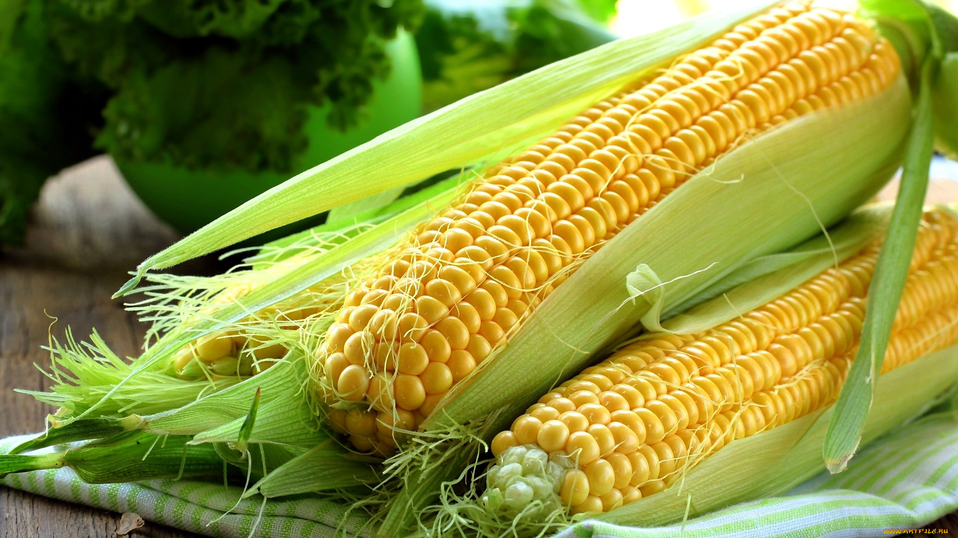 еда, кукуруза, початки