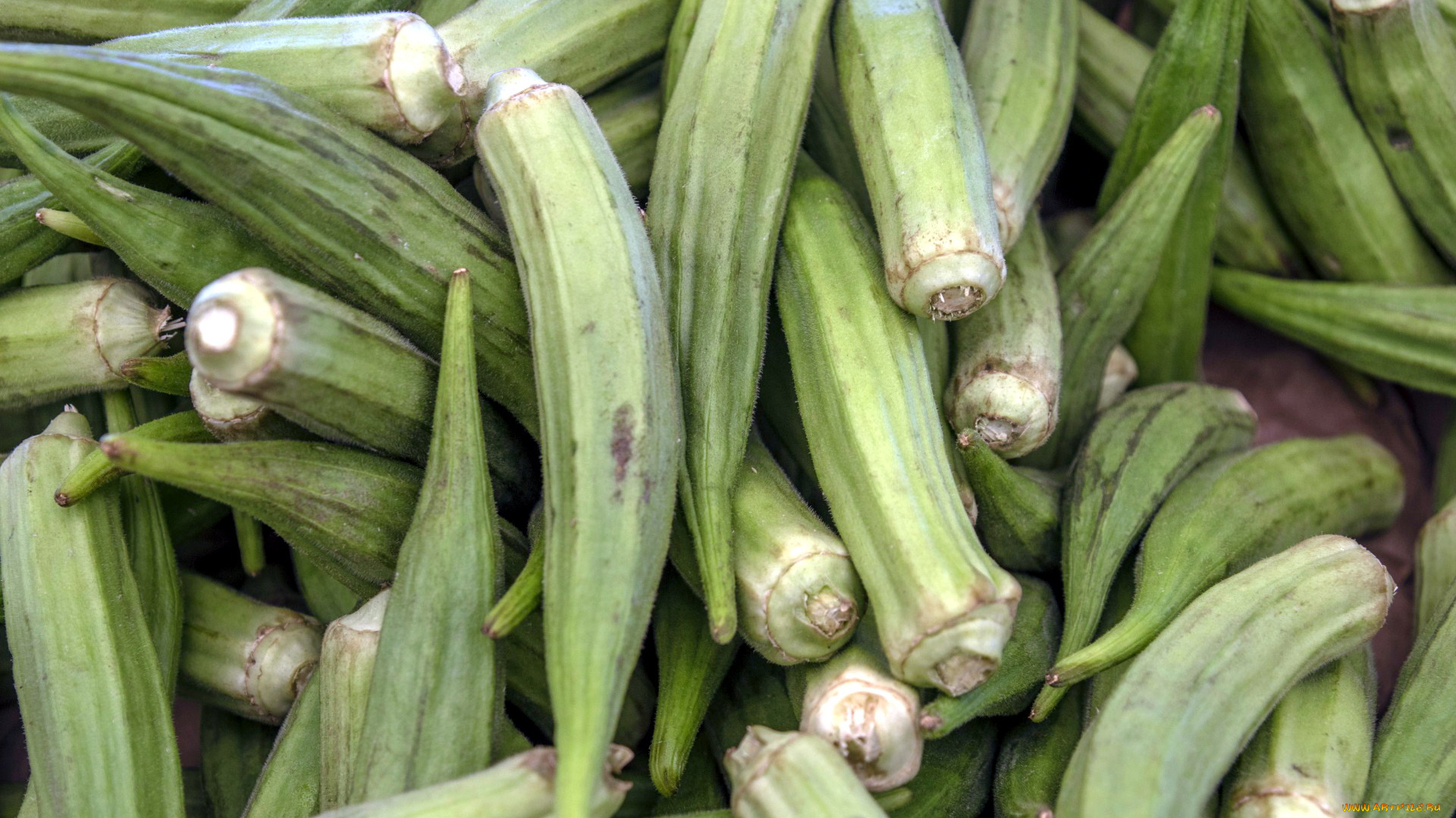 еда, окра, бамия