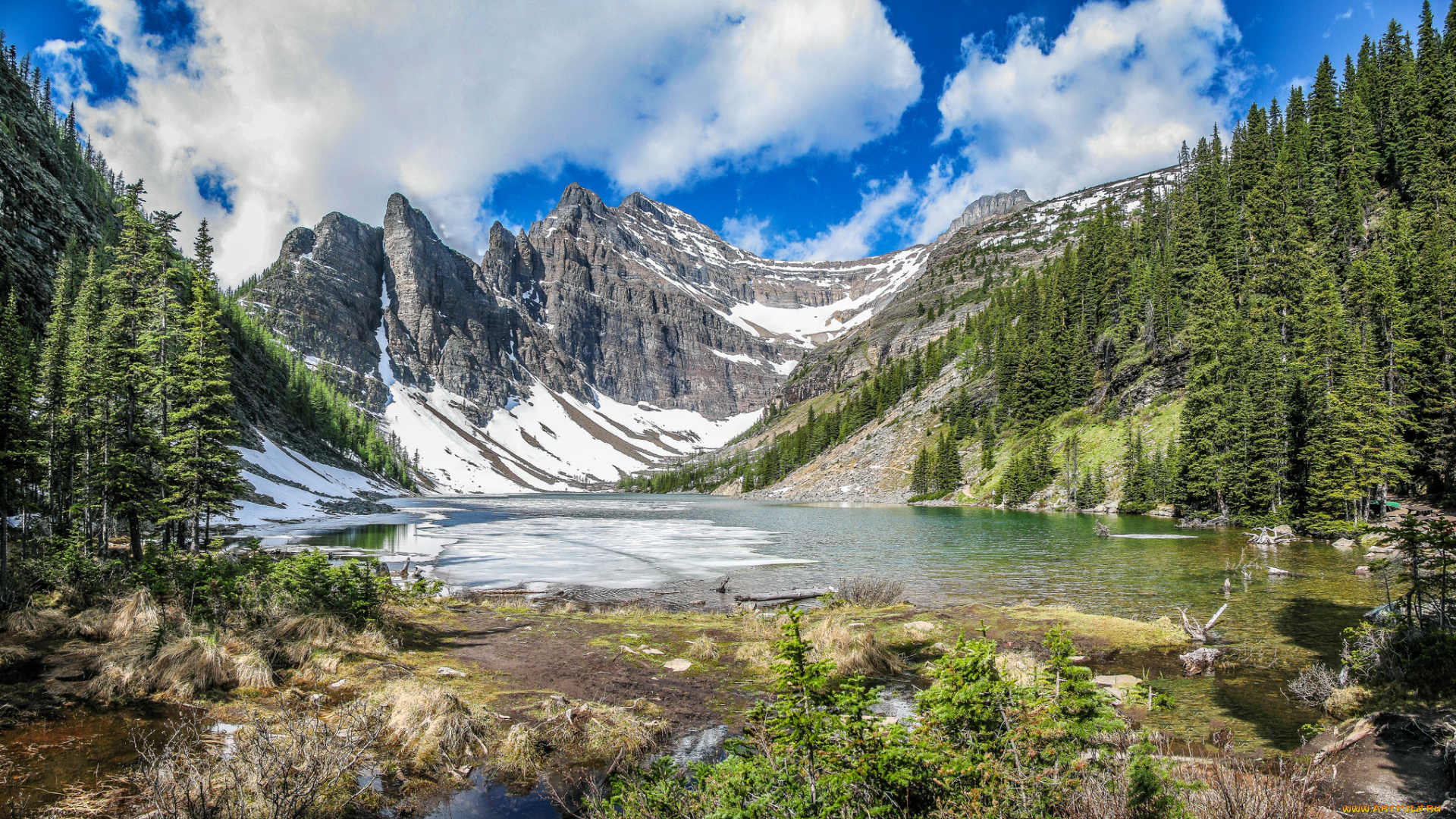 природа, горы, простор