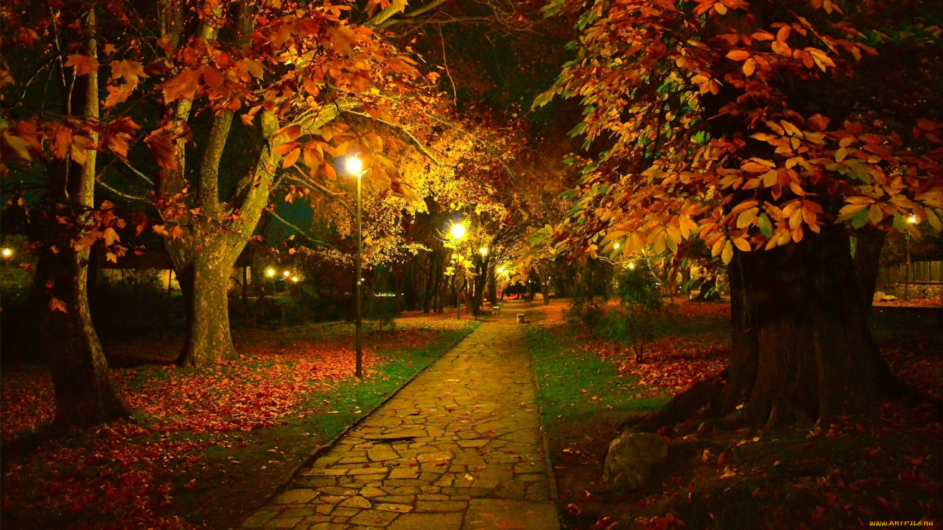природа, парк, осень, листопад