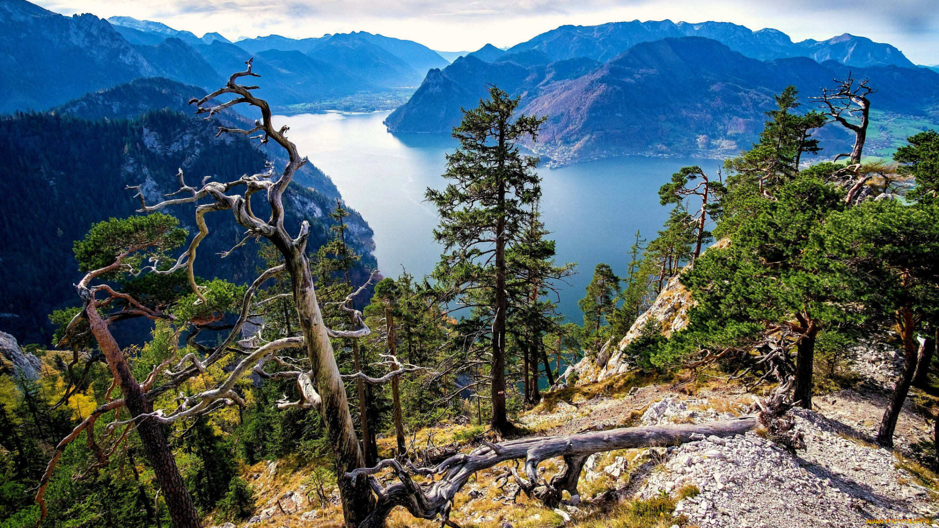 природа, пейзажи, простор