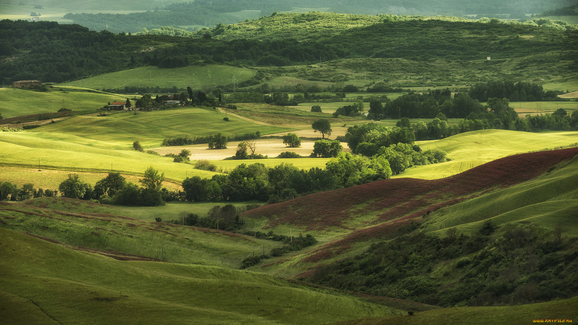 природа, пейзажи, простор