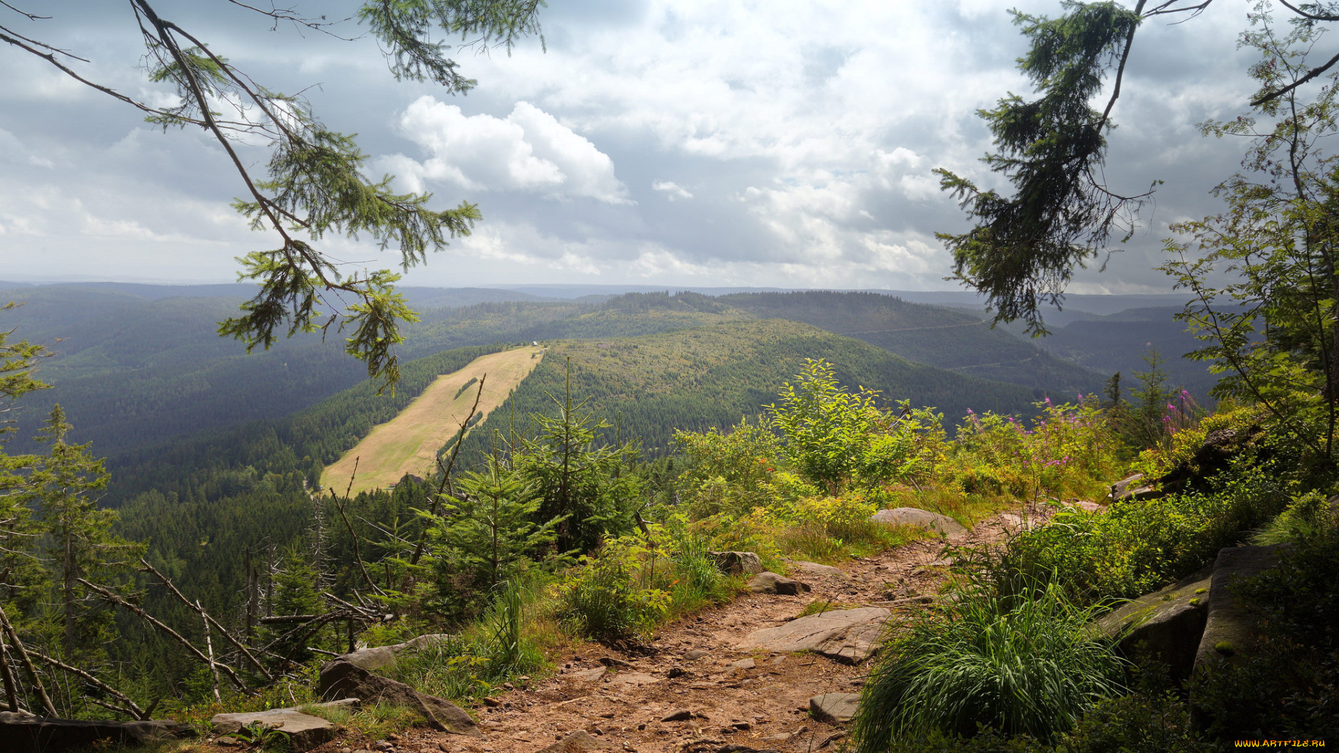 природа, пейзажи, простор