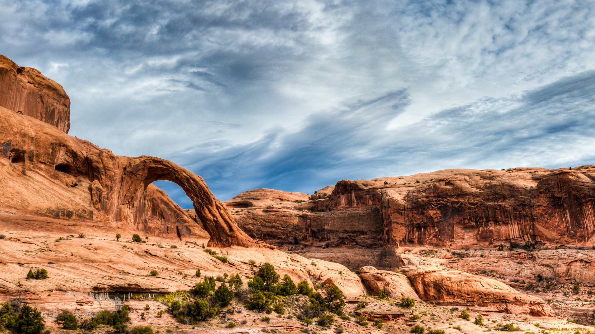 природа, пустыни, простор