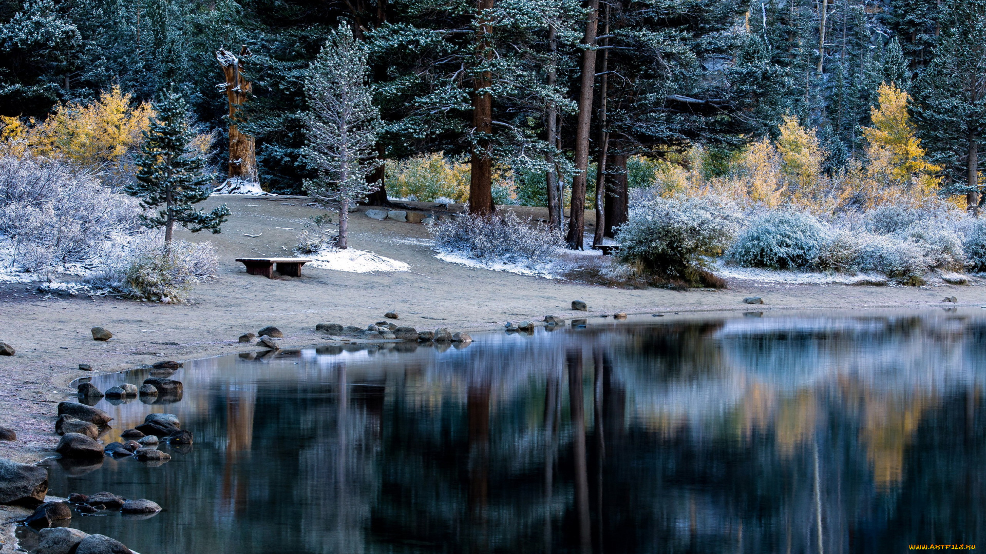 природа, реки, озера, иней