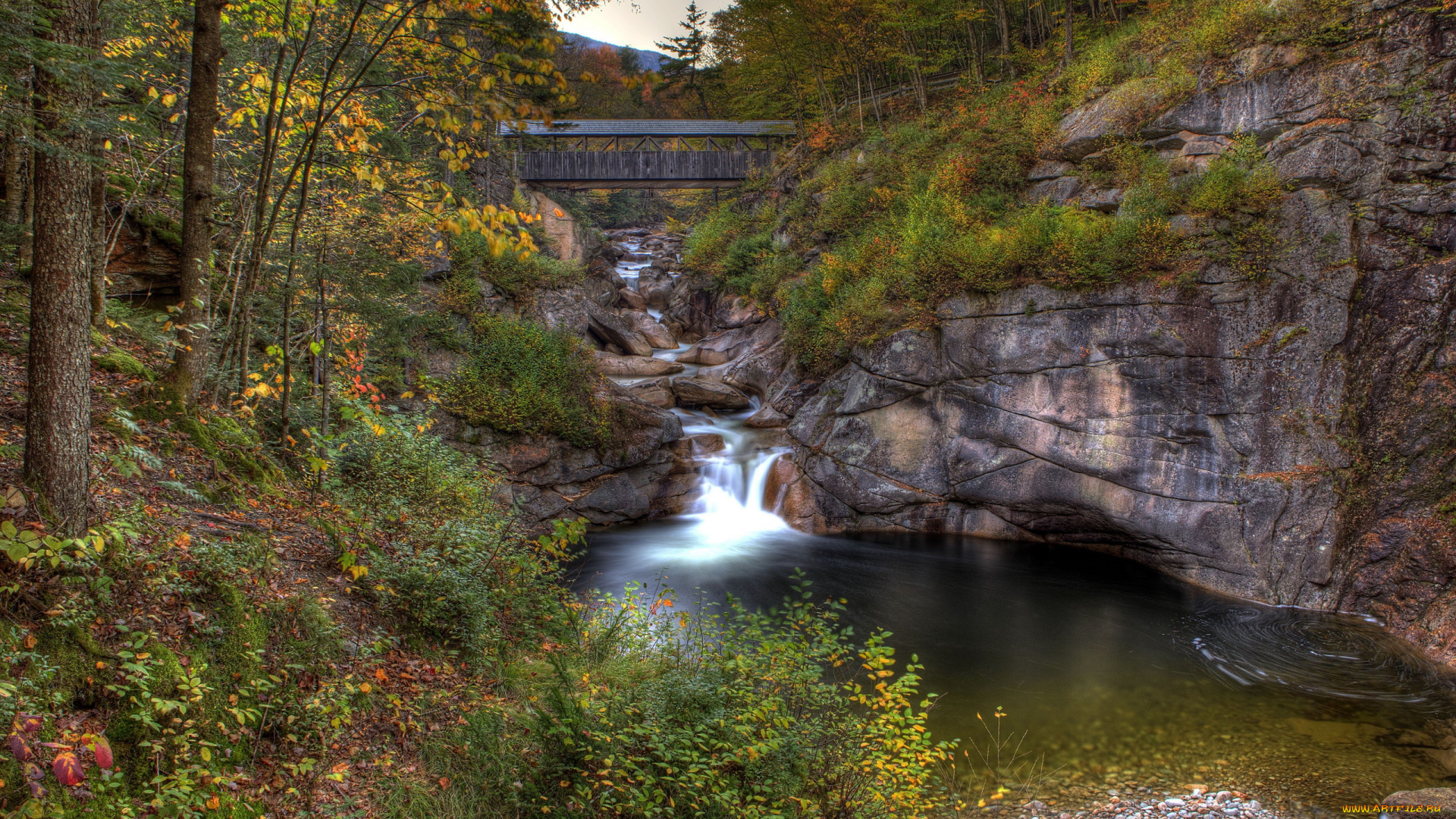 природа, реки, озера, осень, мост, река