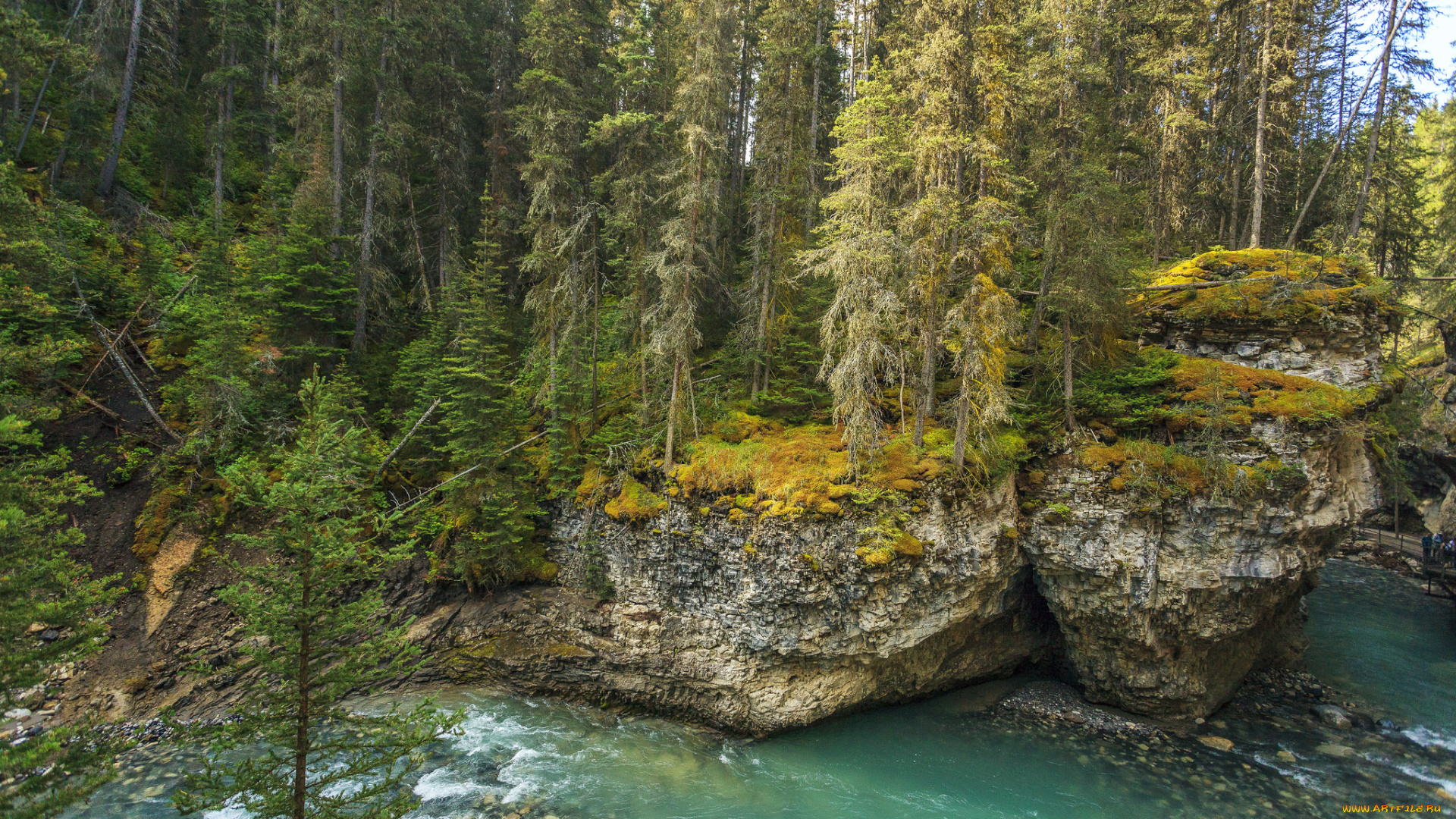 природа, реки, озера, простор