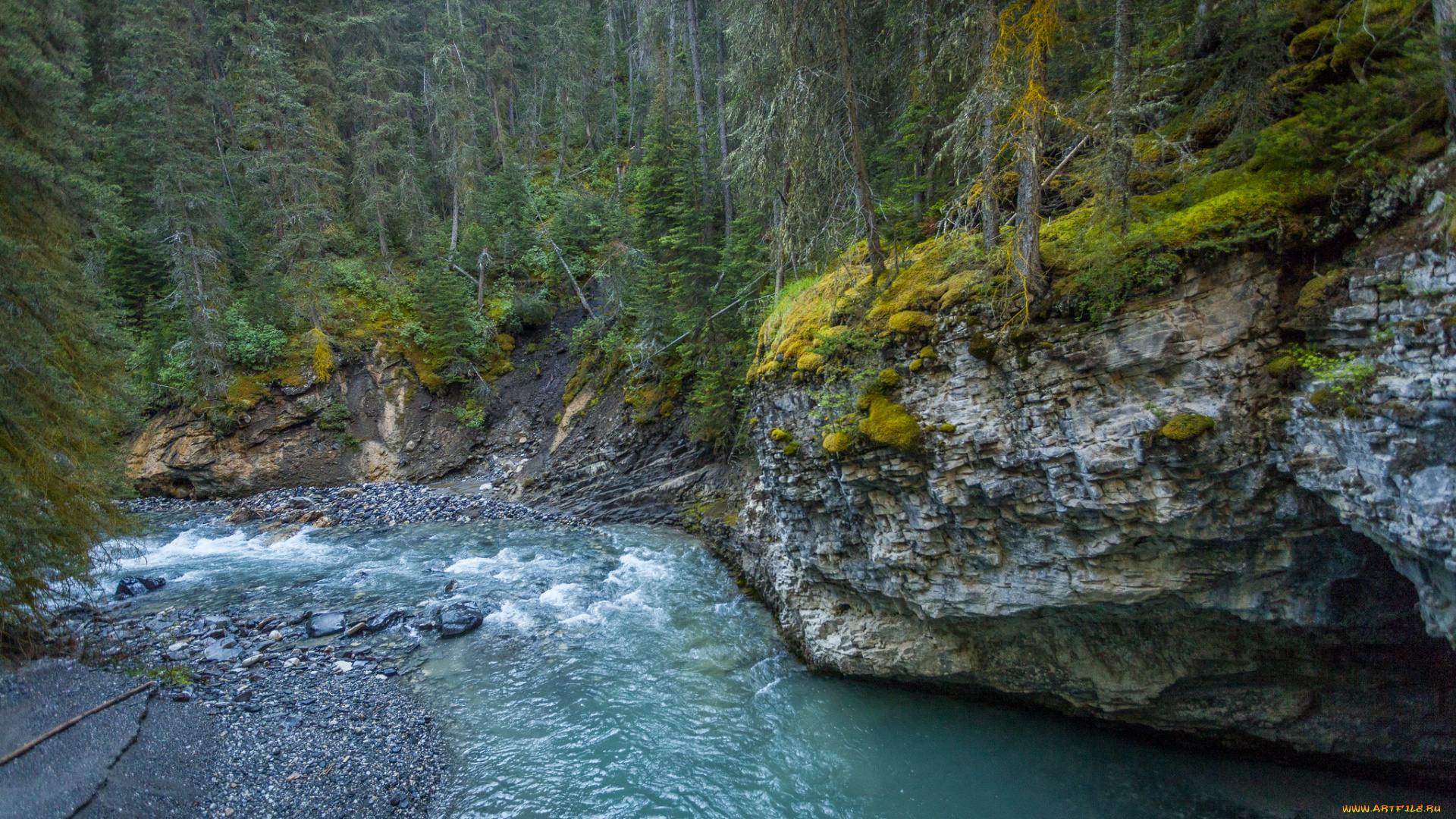 природа, реки, озера, простор