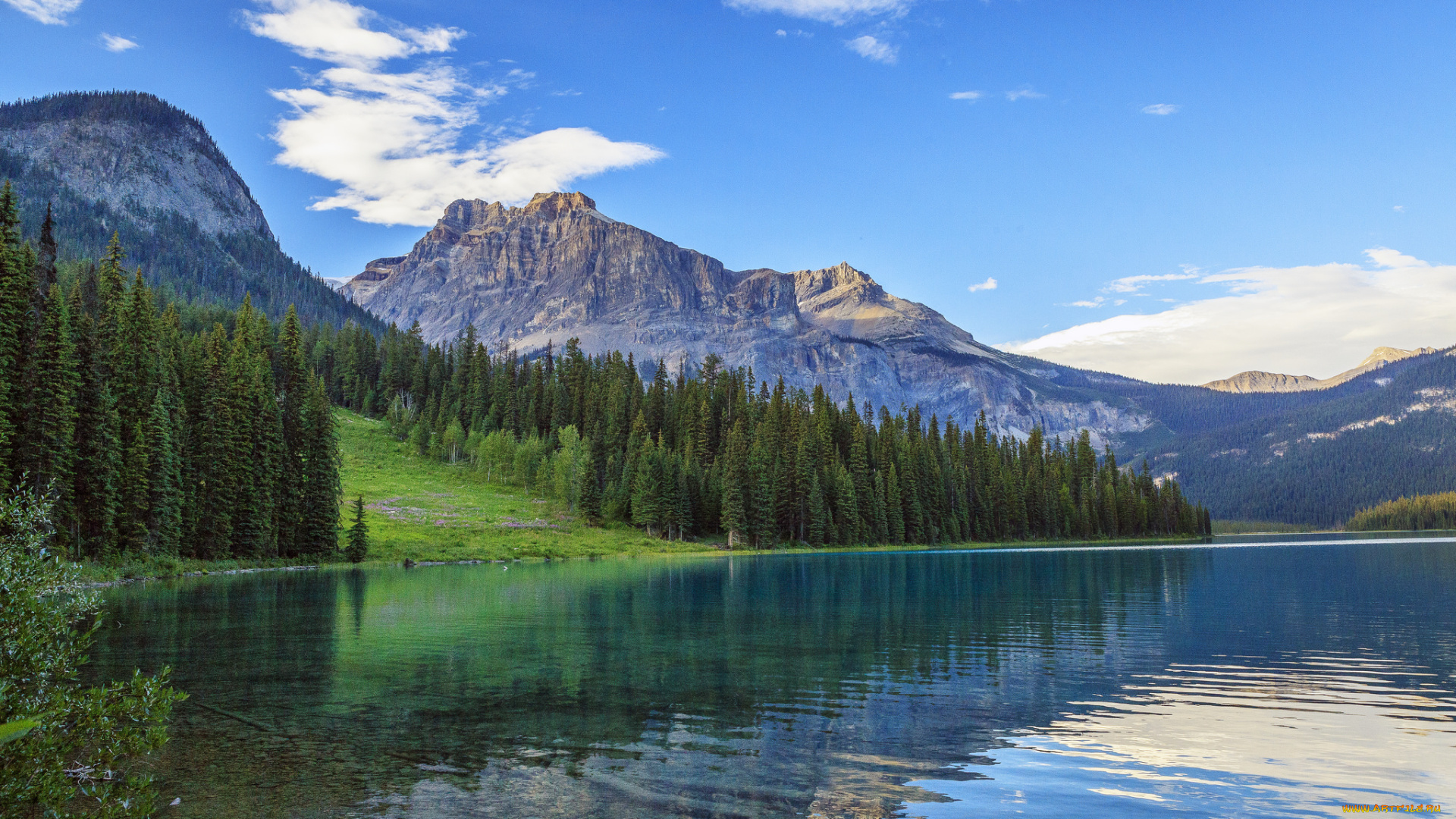 природа, реки, озера, простор