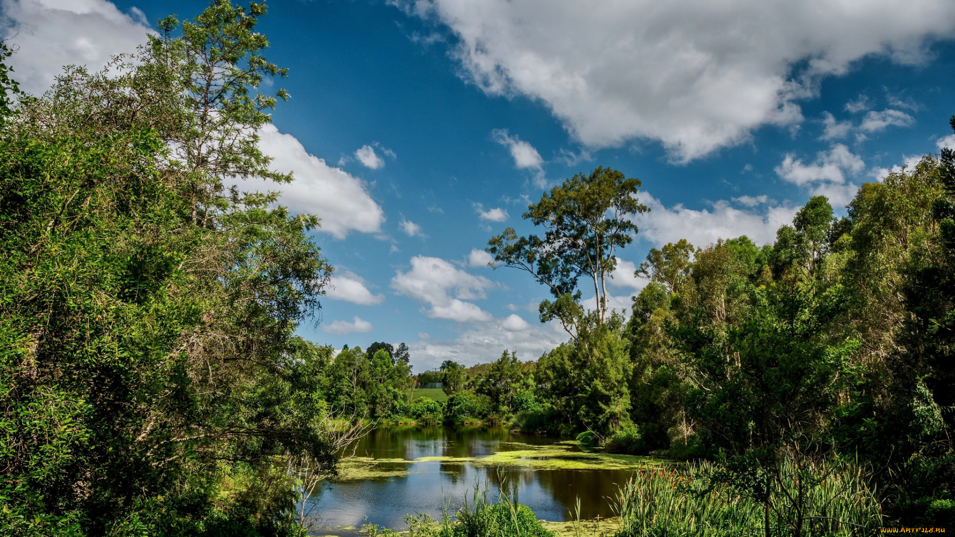 природа, реки, озера, простор