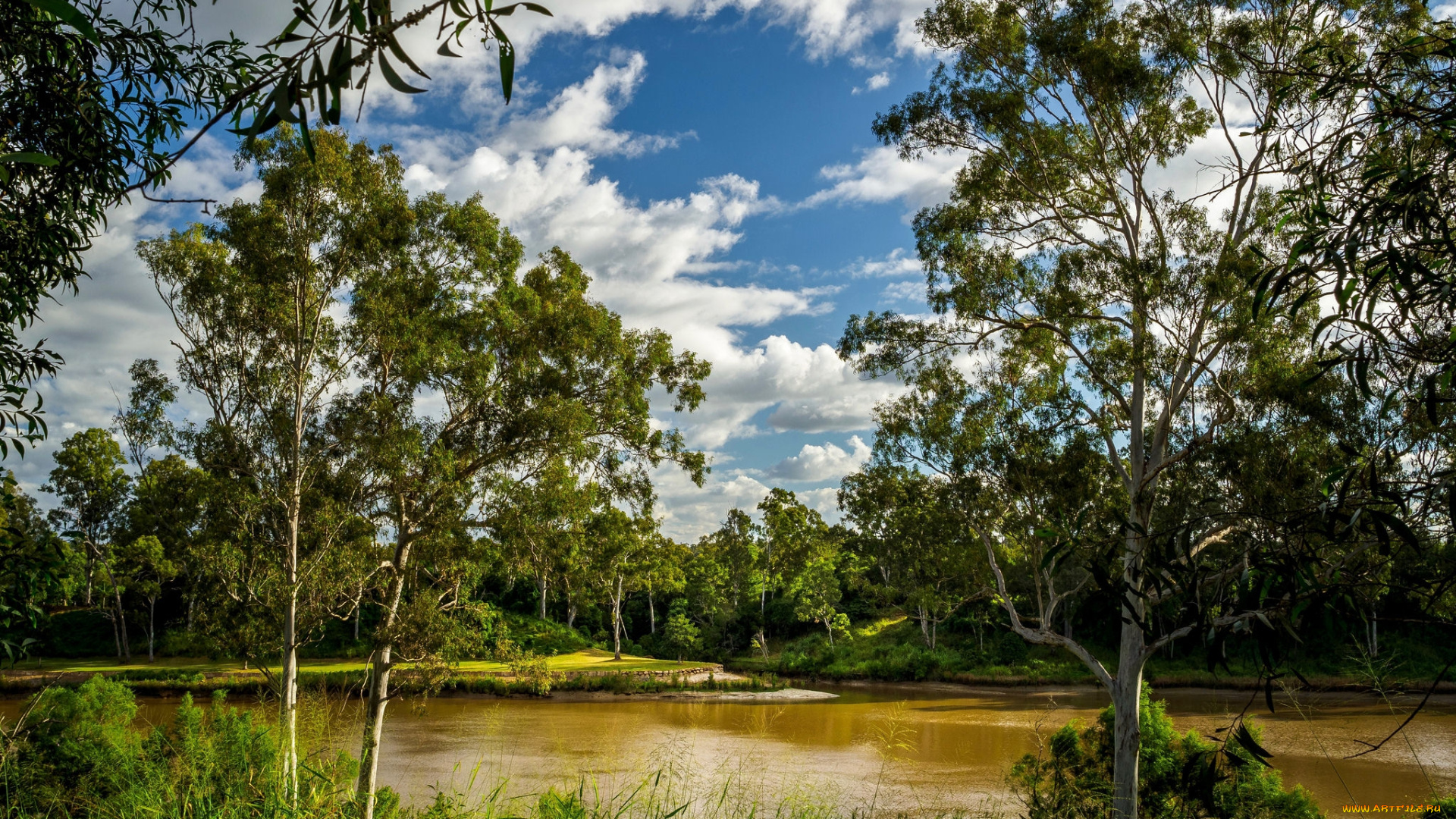 природа, реки, озера, простор