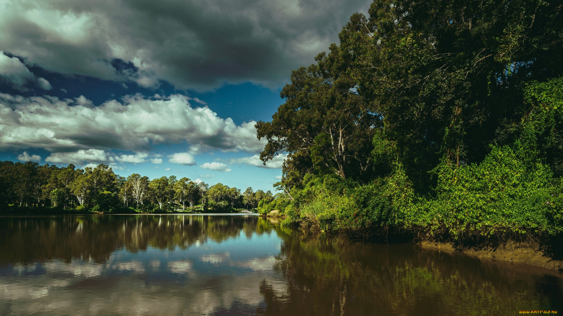 природа, реки, озера, простор