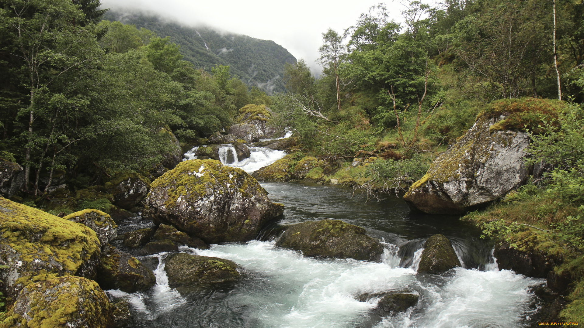 природа, реки, озера, простор