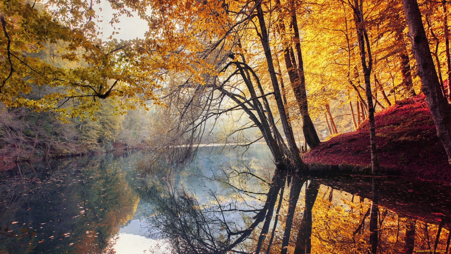 природа, реки, озера, река, осень