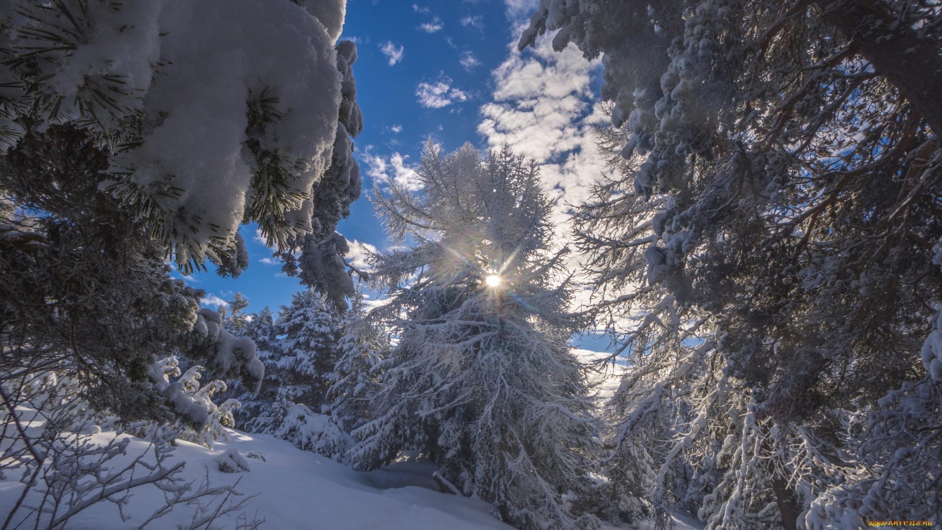 природа, зима, простор