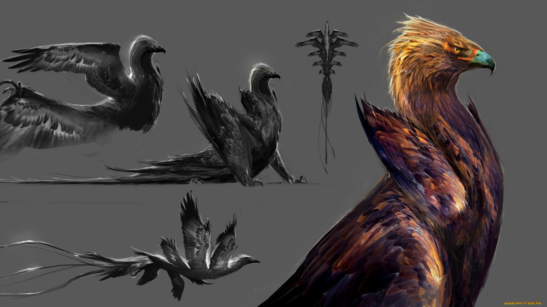 рисованное, животные, , сказочные, , мифические, хищник, птица, крылья