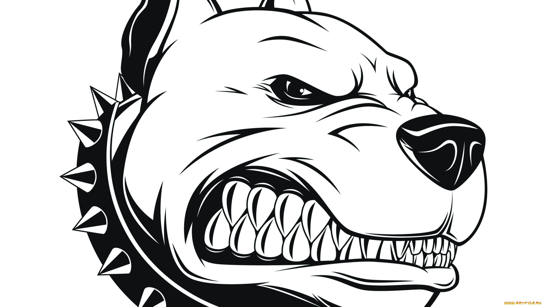рисованное, животные, , собаки, pitbull, арт, злой, пес, питбуль, angry, dog, аватарка