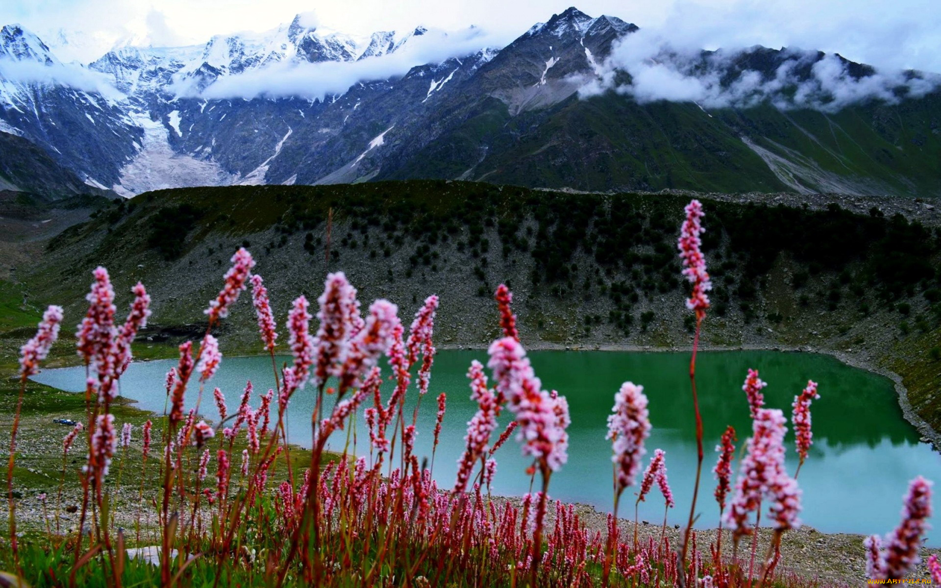 природа, реки, озера, озеро, горы, цветы
