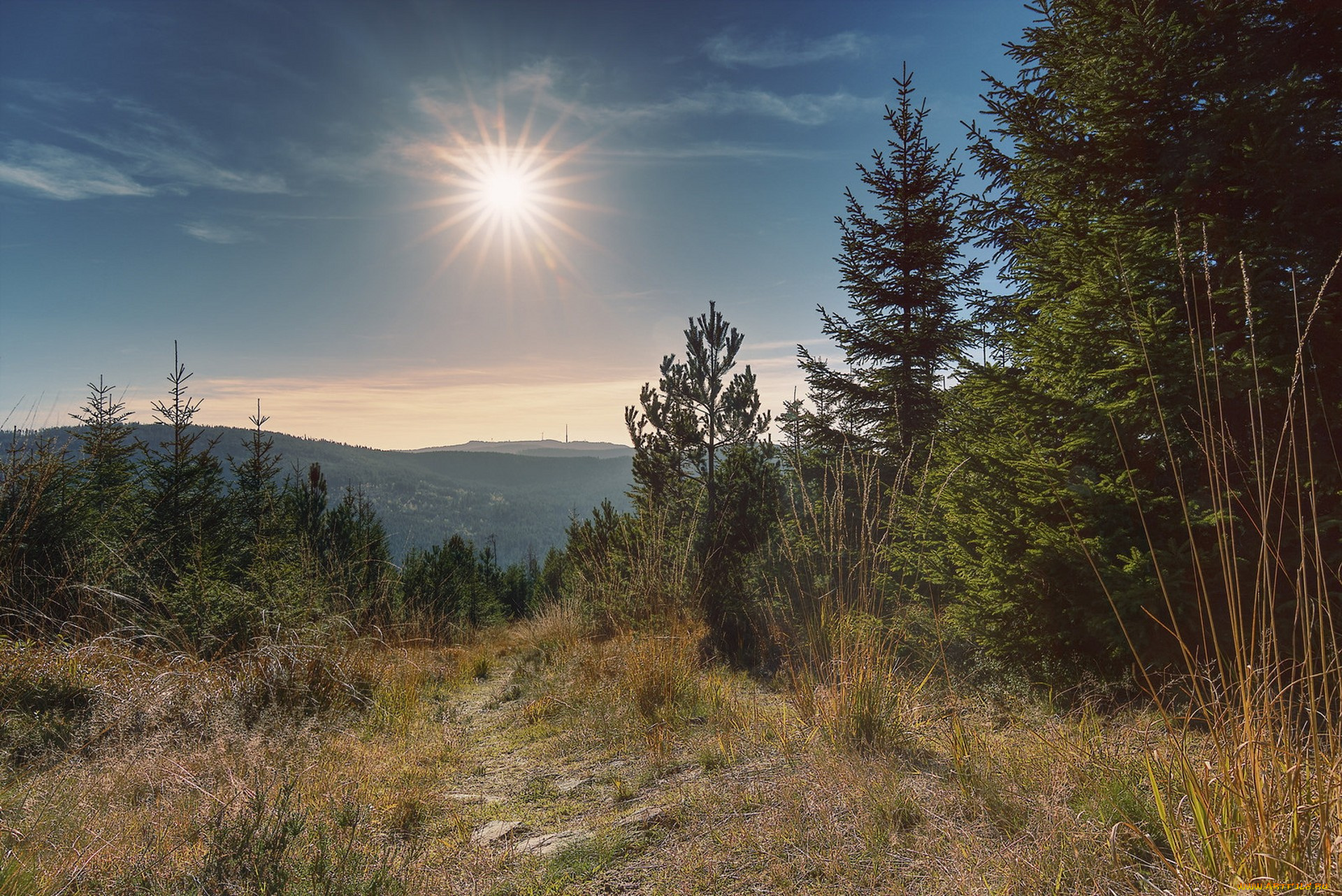 природа, пейзажи, простор