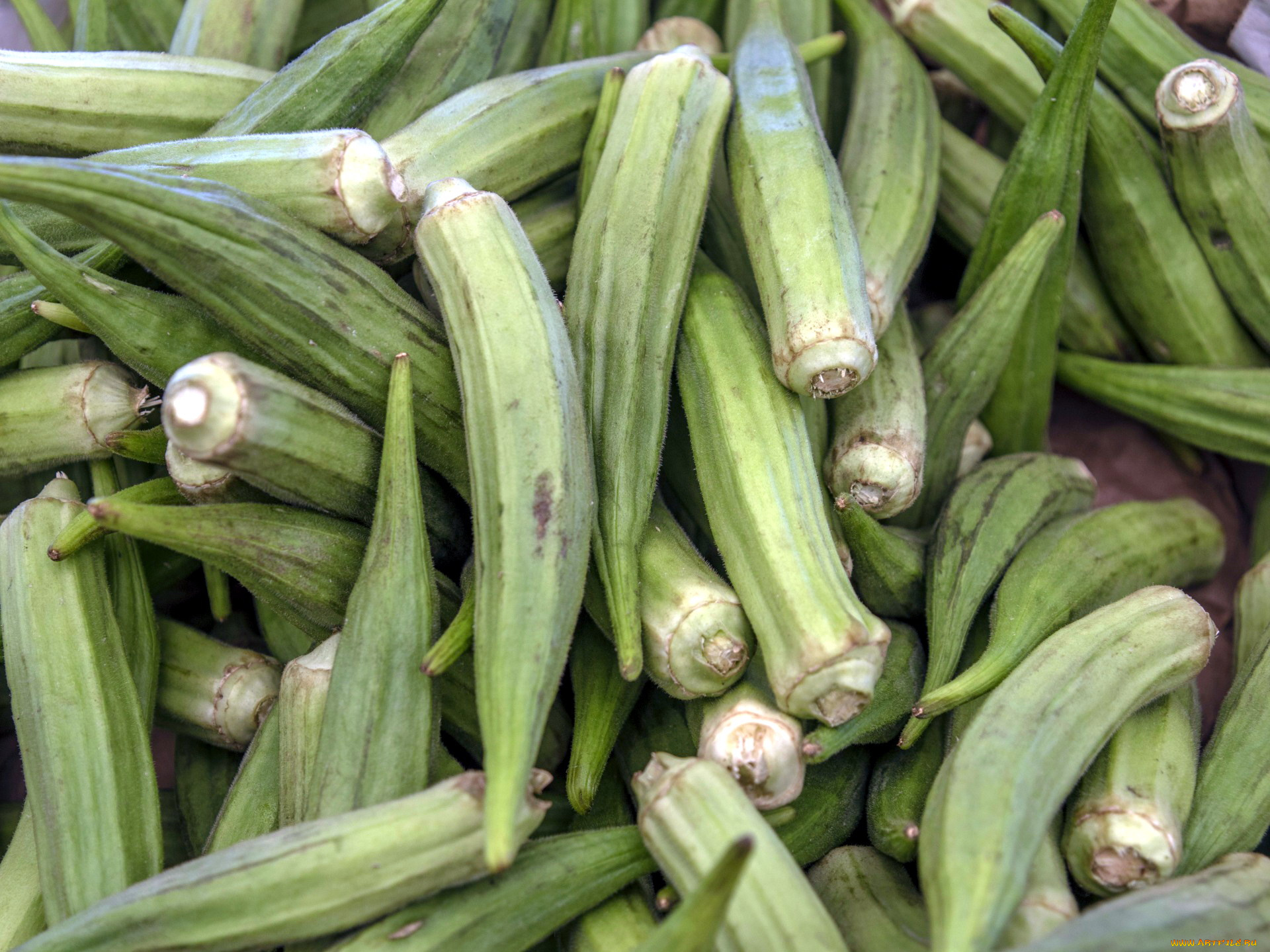 еда, окра, бамия