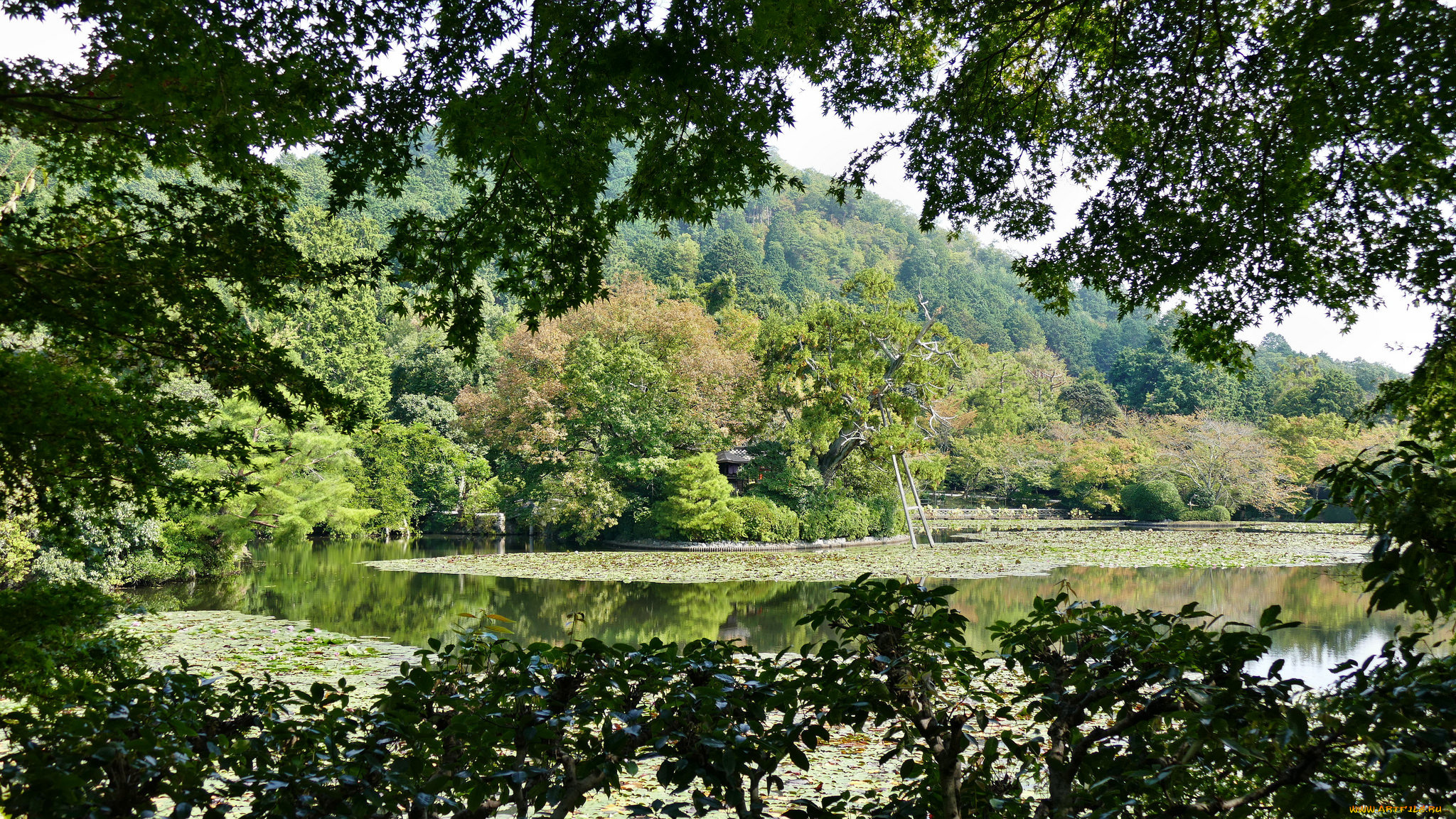 природа, реки, озера, простор