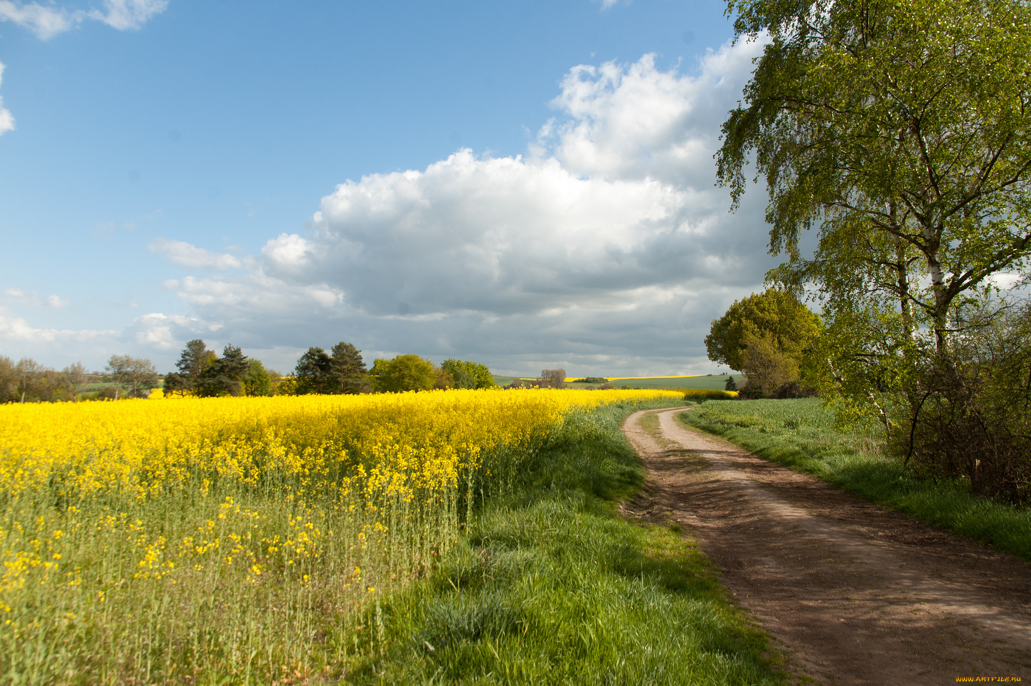природа, дороги, простор